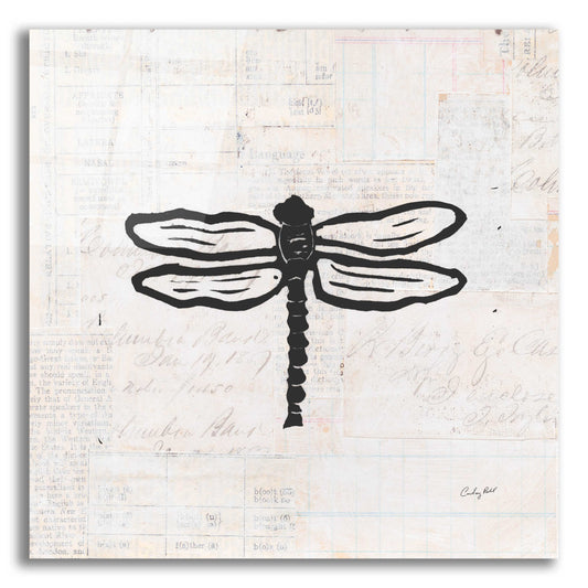 Epic Art 'Dragonfly Stamp BW by Courtney Prahl, Acrylic Glass Wall Art