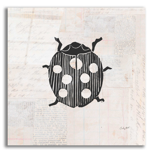 Epic Art 'Ladybug Stamp BW by Courtney Prahl, Acrylic Glass Wall Art