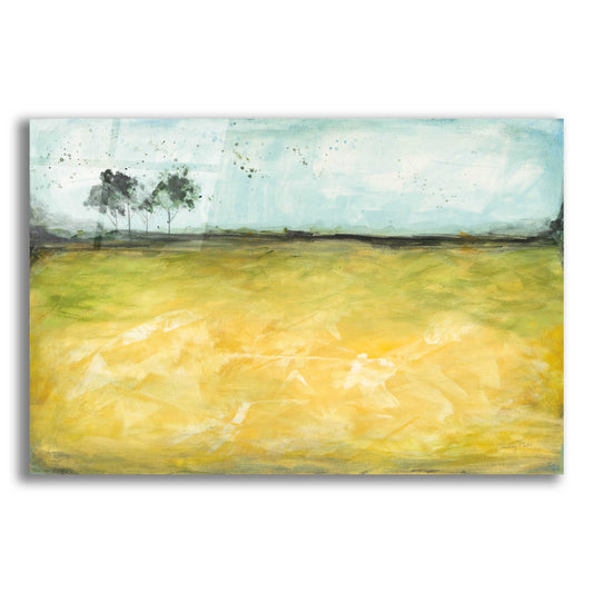 Epic Art 'Over the Meadow by Courtney Prahl, Acrylic Glass Wall Art