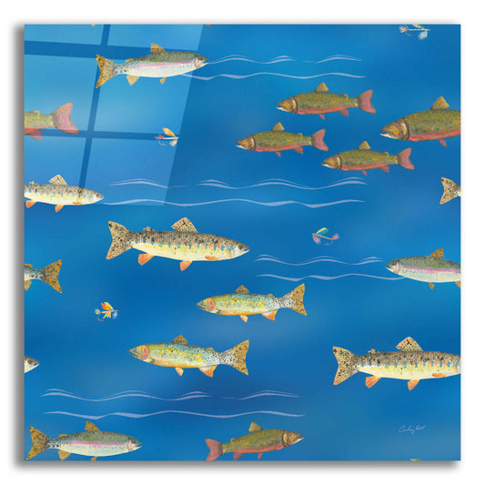 Epic Art 'Angling in The Stream Pattern IB by Courtney Prahl, Acrylic Glass Wall Art