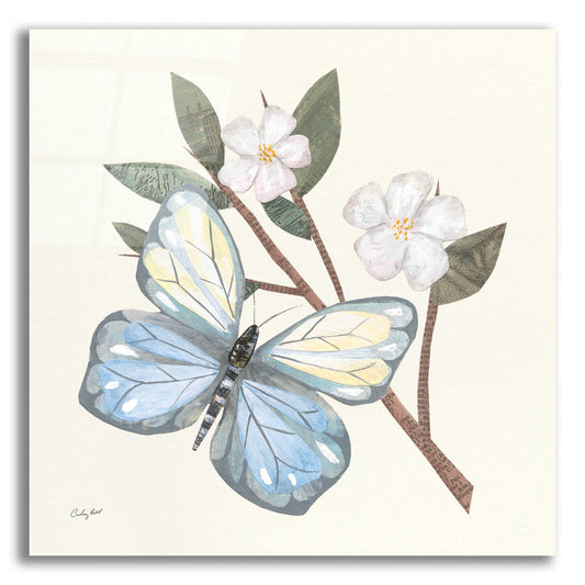 Epic Art 'In the Garden Butterfly by Courtney Prahl, Acrylic Glass Wall Art