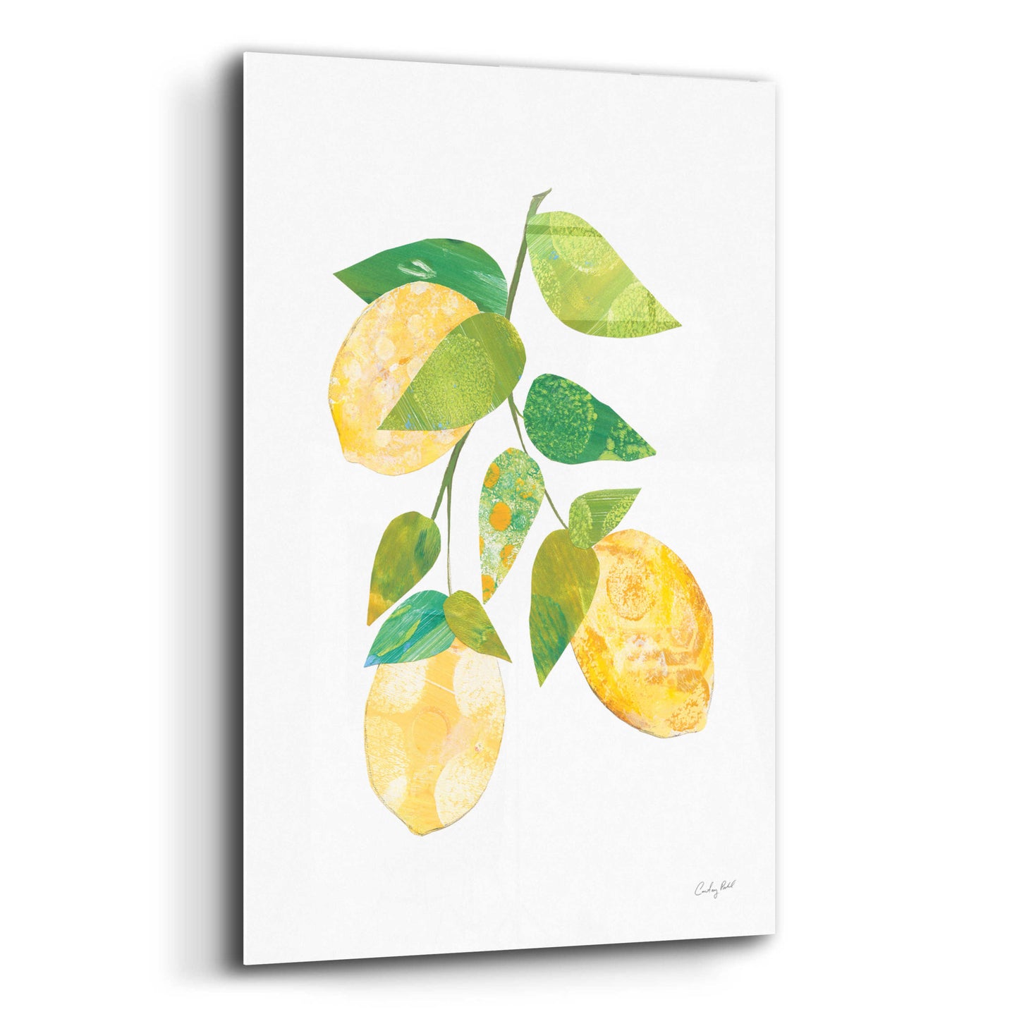 Epic Art 'Summer Lemons I by Courtney Prahl, Acrylic Glass Wall Art,16x24