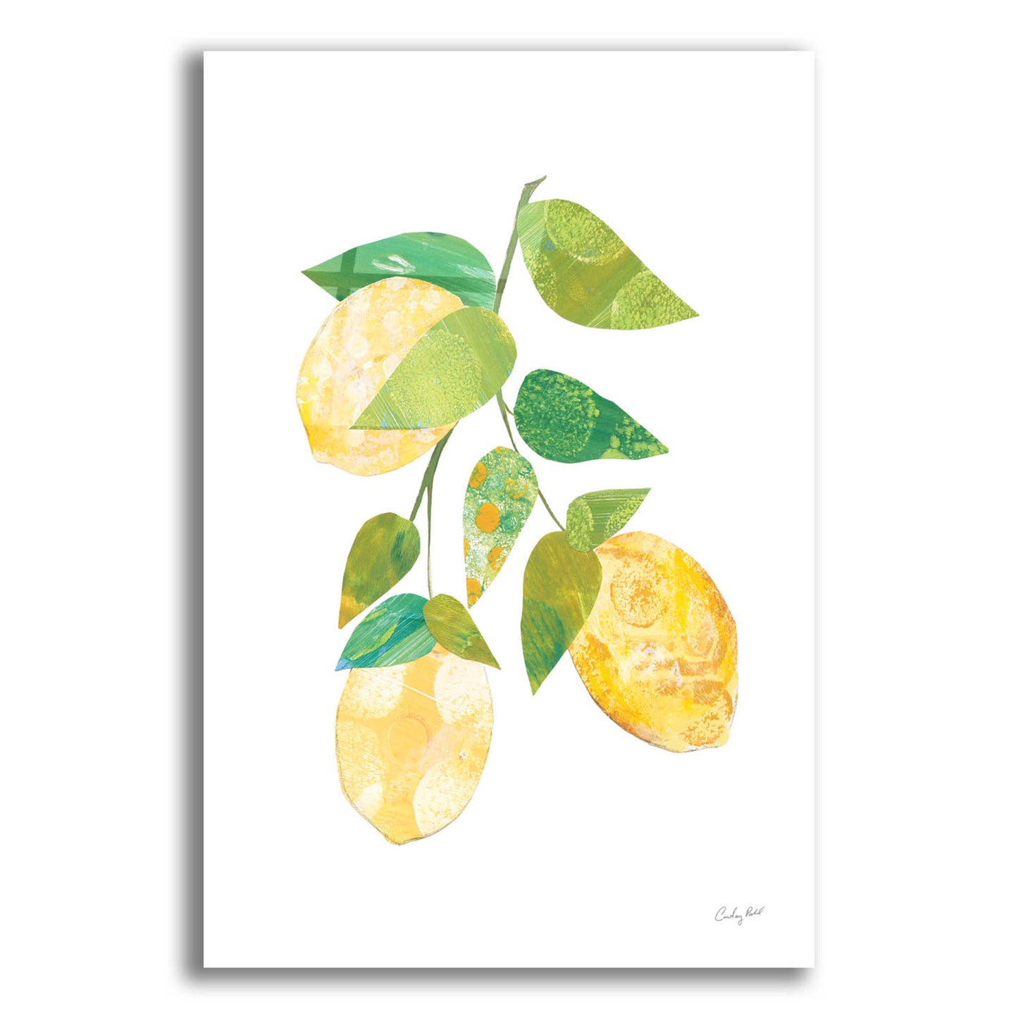 Epic Art 'Summer Lemons I by Courtney Prahl, Acrylic Glass Wall Art,16x24