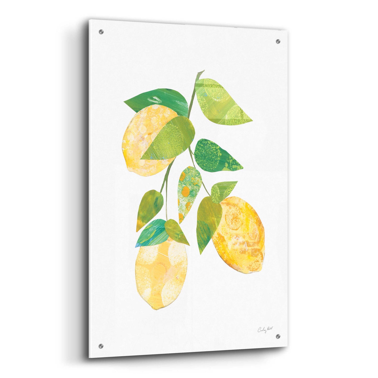 Epic Art 'Summer Lemons I by Courtney Prahl, Acrylic Glass Wall Art,24x36