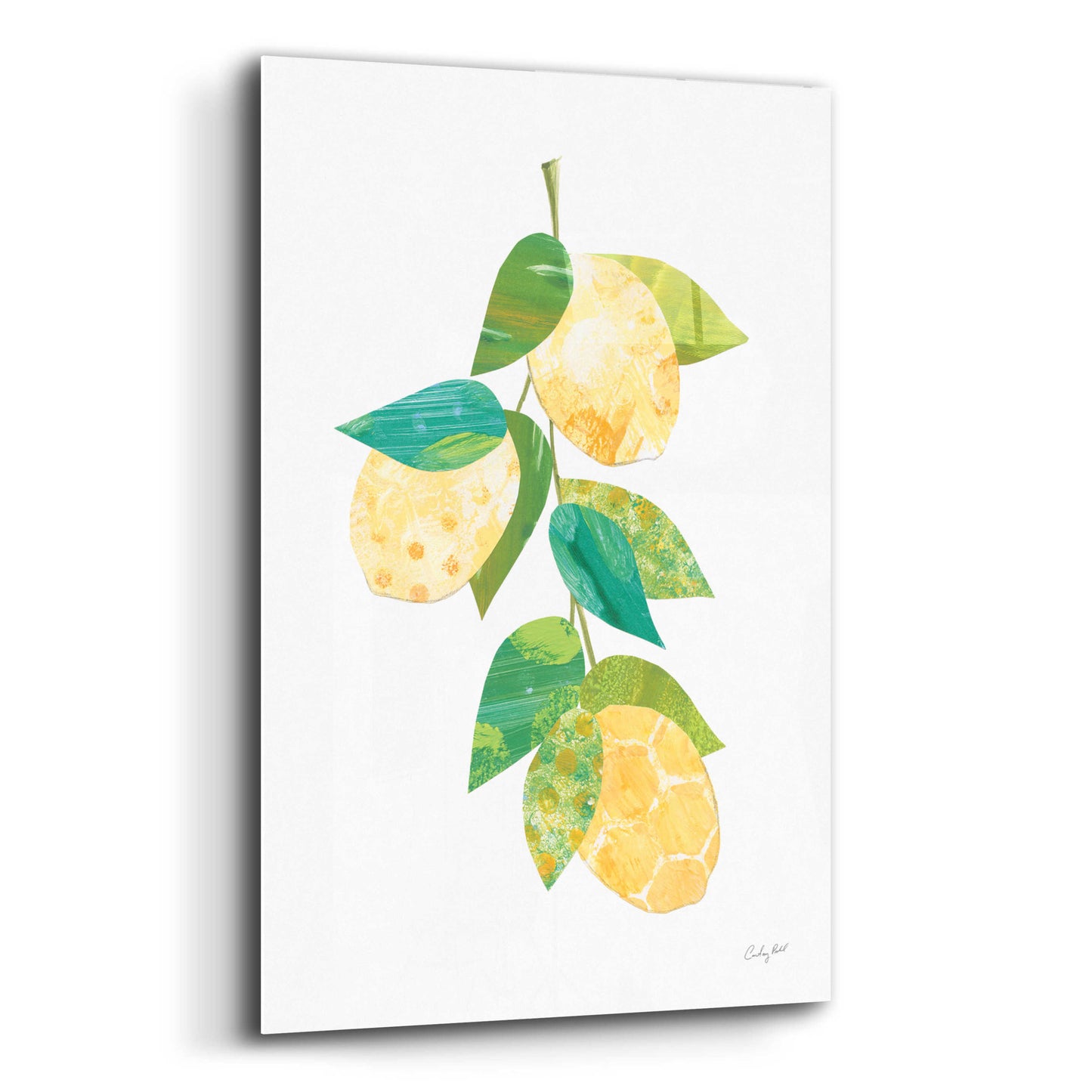 Epic Art 'Summer Lemons II by Courtney Prahl, Acrylic Glass Wall Art,12x16