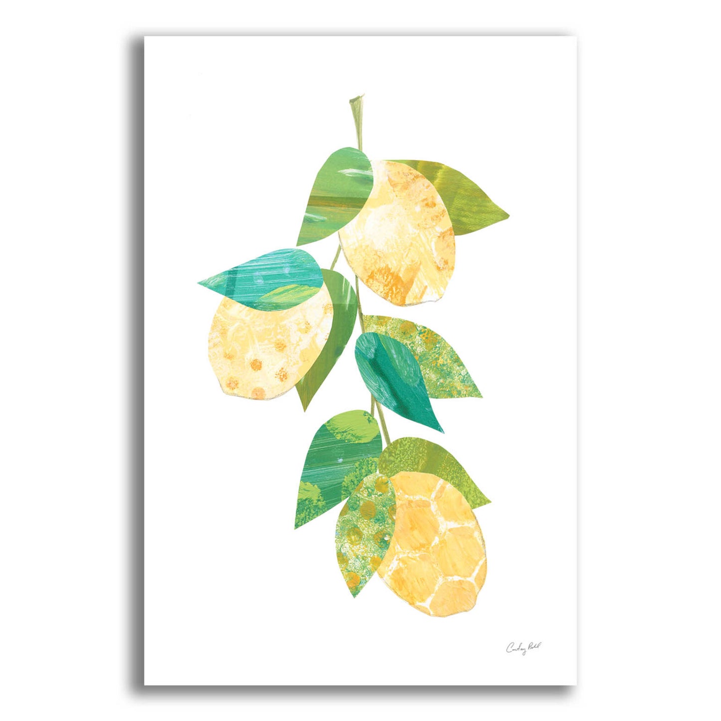 Epic Art 'Summer Lemons II by Courtney Prahl, Acrylic Glass Wall Art,12x16