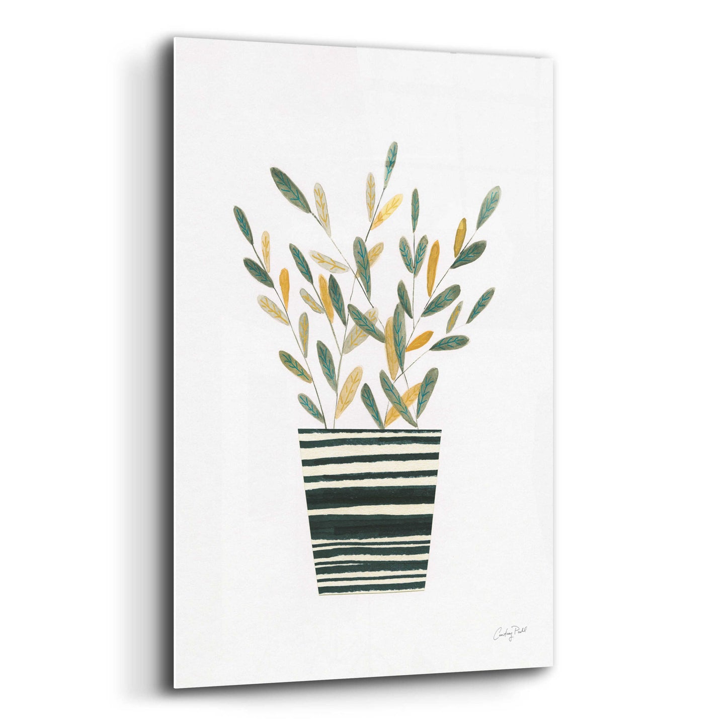 Epic Art 'Herb Garden I by Courtney Prahl, Acrylic Glass Wall Art,12x16