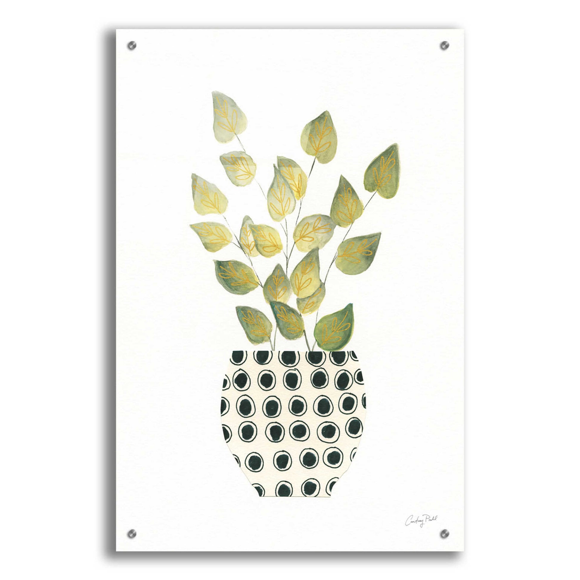 Epic Art 'Herb Garden IV by Courtney Prahl, Acrylic Glass Wall Art,24x36