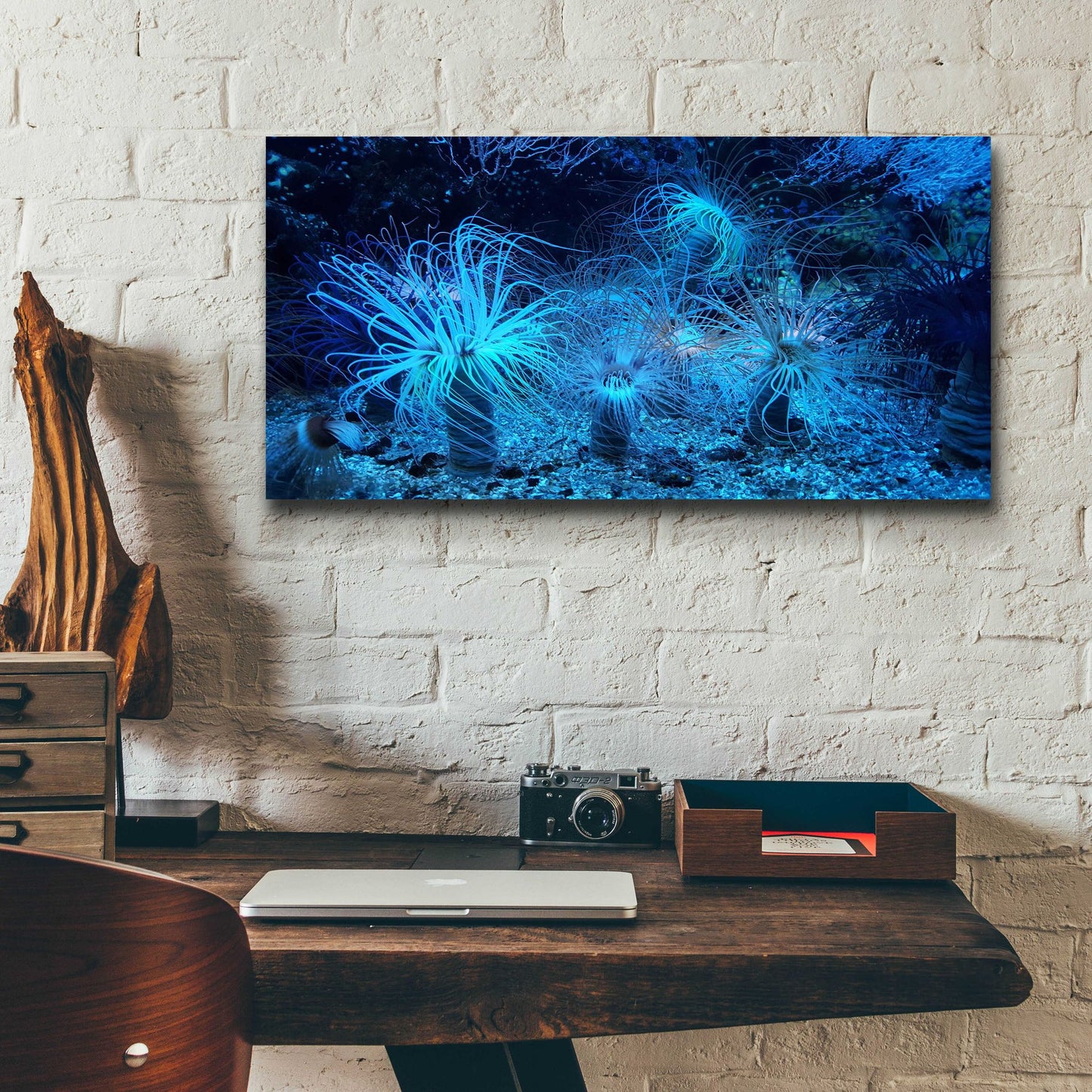 Epic Art 'Anemone Jungle' by Epic Portfolio, Acrylic Glass Wall Art,24x12