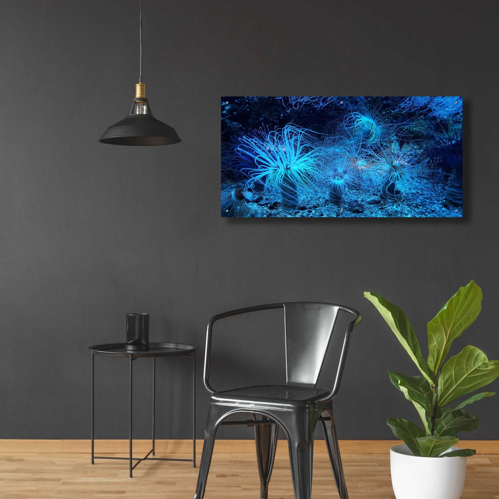 Epic Art 'Anemone Jungle' by Epic Portfolio, Acrylic Glass Wall Art,48x24