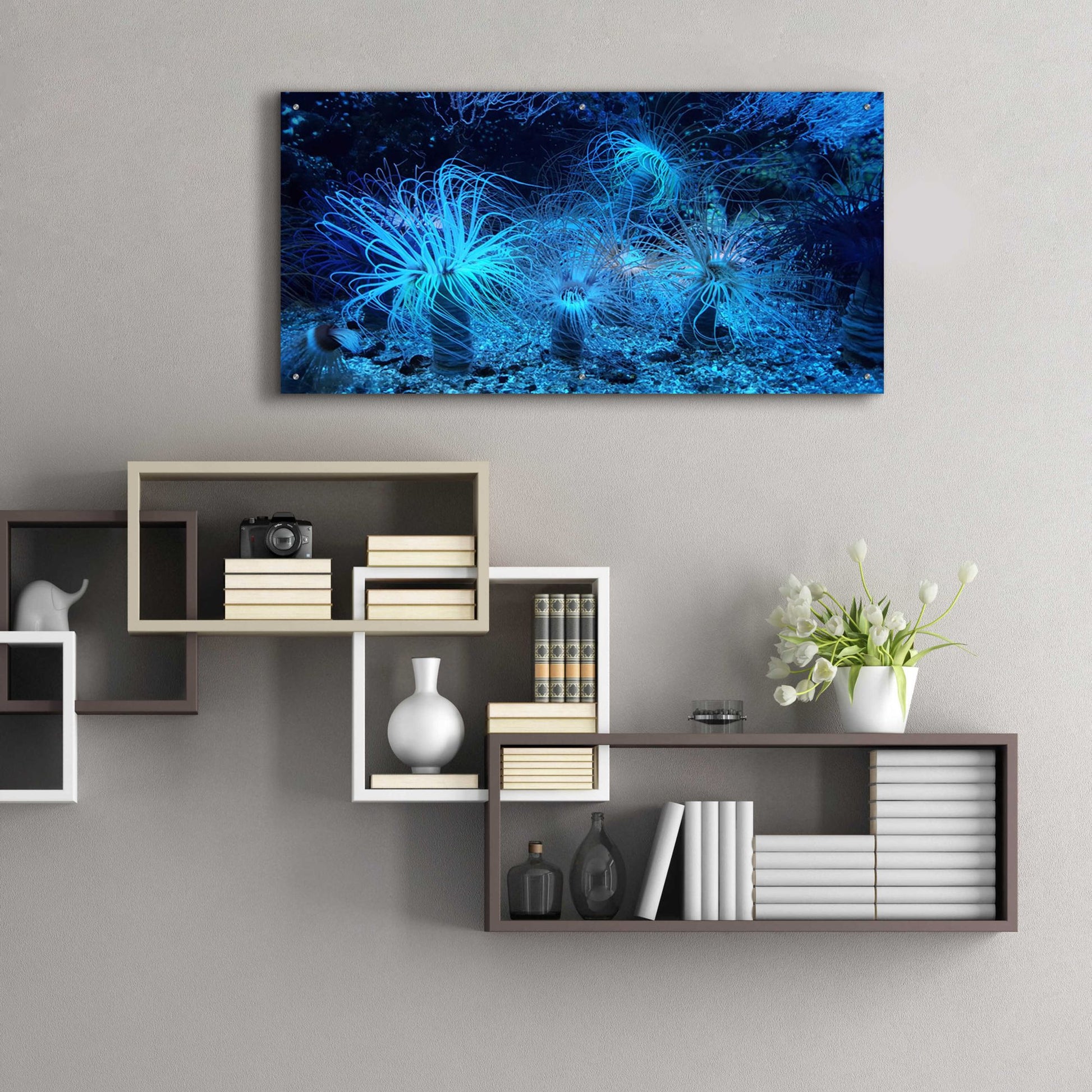 Epic Art 'Anemone Jungle' by Epic Portfolio, Acrylic Glass Wall Art,48x24