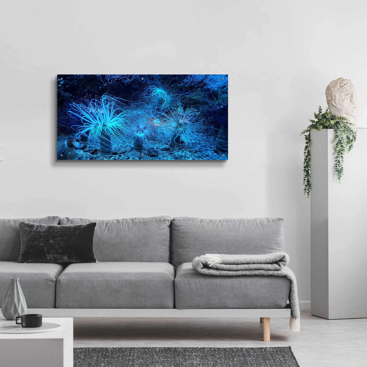 Epic Art 'Anemone Jungle' by Epic Portfolio, Acrylic Glass Wall Art,48x24