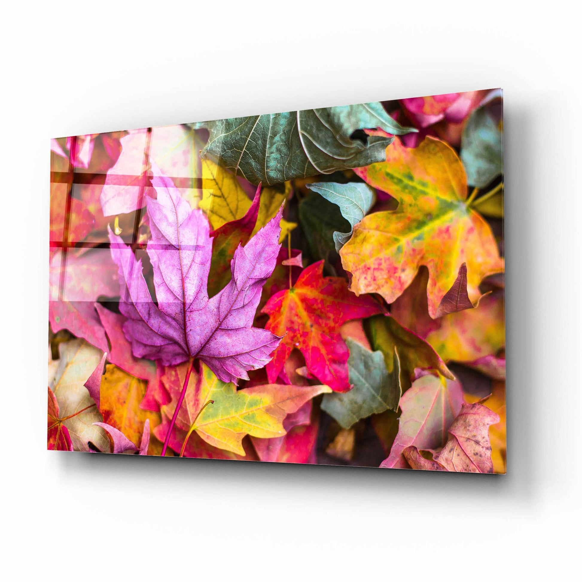 Epic Art 'Beautiful Fall' by Epic Portfolio, Acrylic Glass Wall Art,16x12