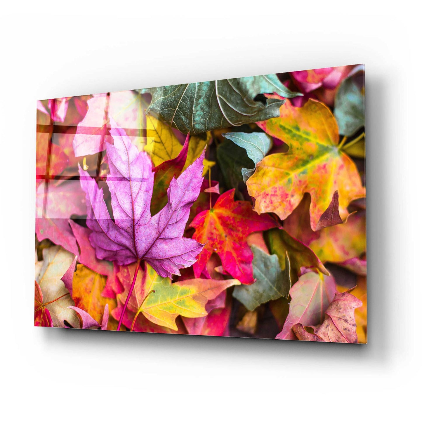 Epic Art 'Beautiful Fall' by Epic Portfolio, Acrylic Glass Wall Art,24x16