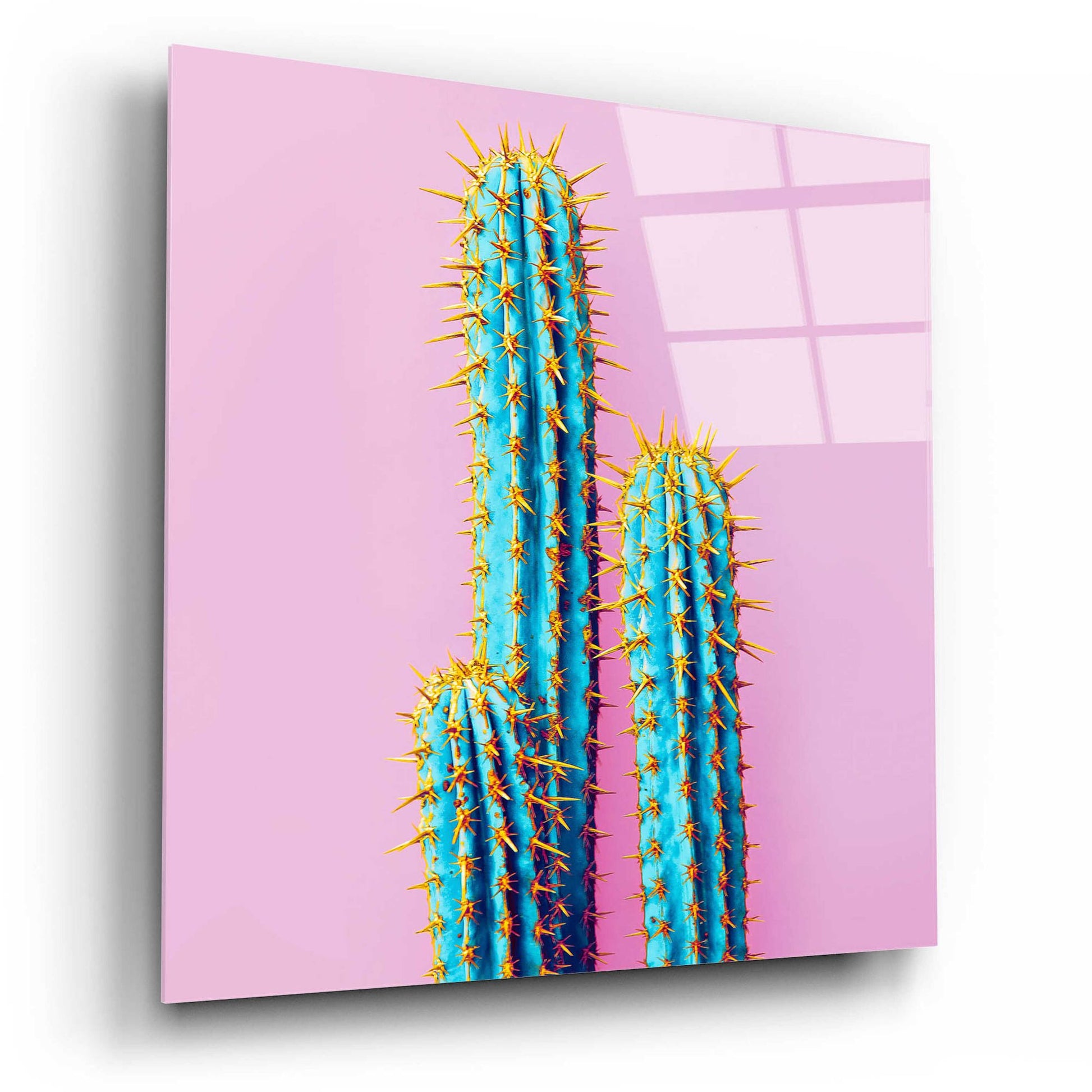 Epic Art 'Bubble Gum Cactus' by Epic Portfolio, Acrylic Glass Wall Art,12x12