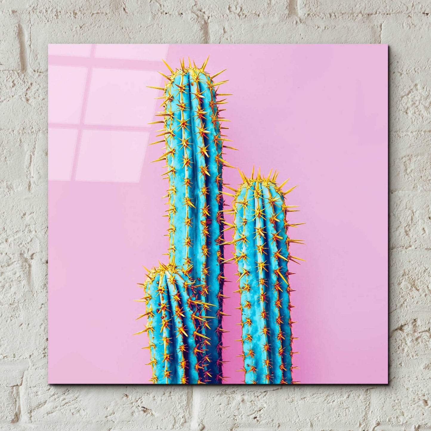 Epic Art 'Bubble Gum Cactus' by Epic Portfolio, Acrylic Glass Wall Art,12x12