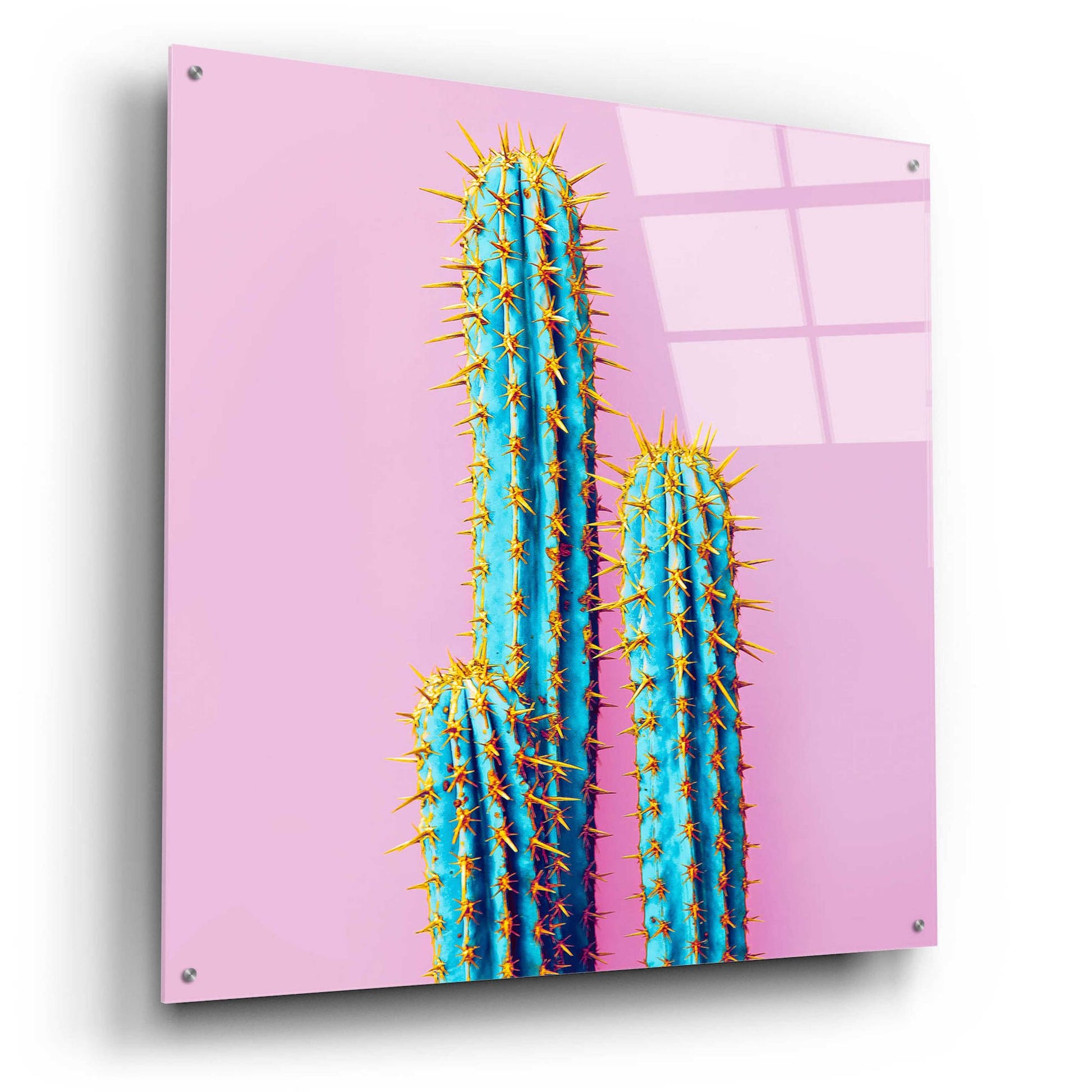 Epic Art 'Bubble Gum Cactus' by Epic Portfolio, Acrylic Glass Wall Art,36x36