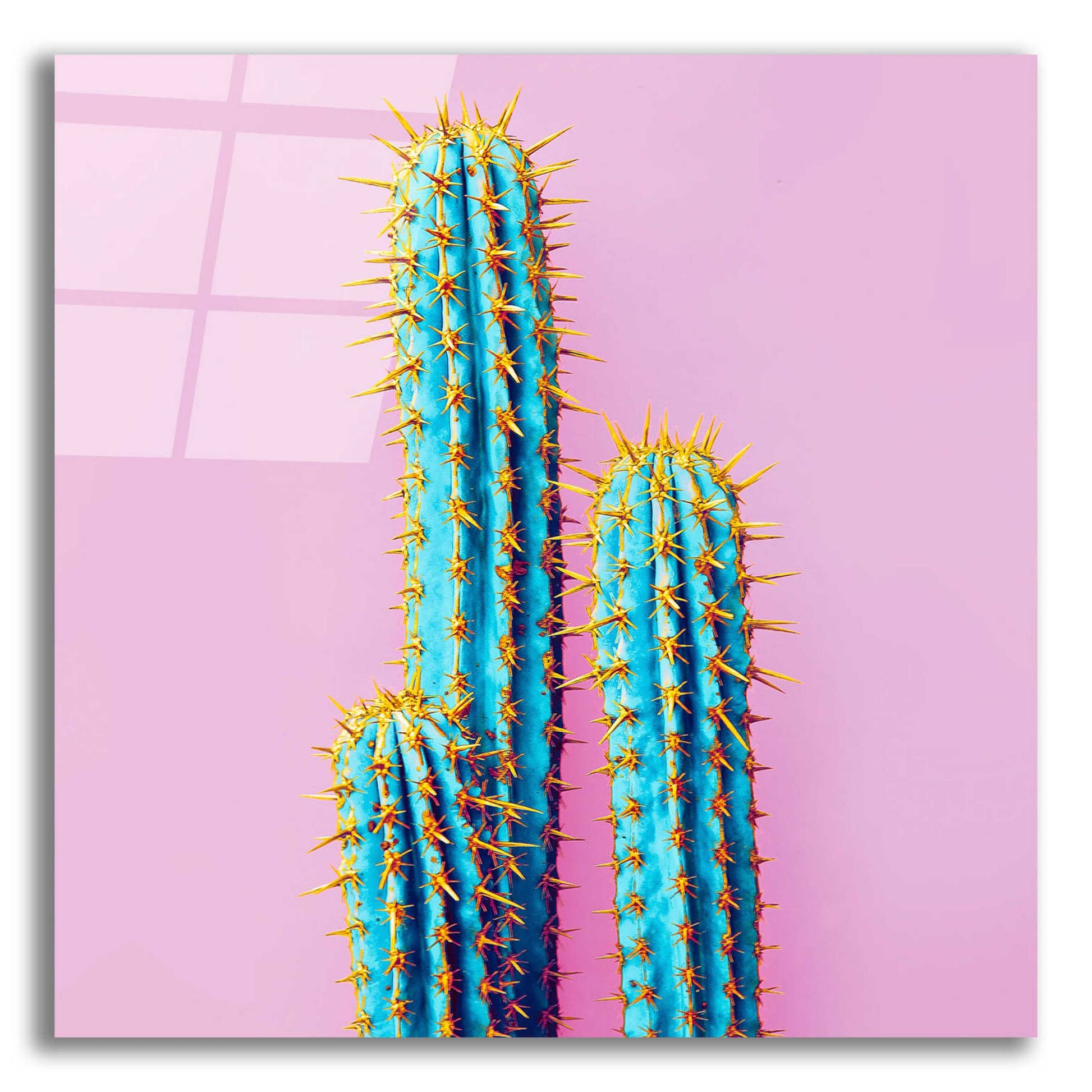 Epic Art 'Bubble Gum Cactus' by Epic Portfolio, Acrylic Glass Wall Art