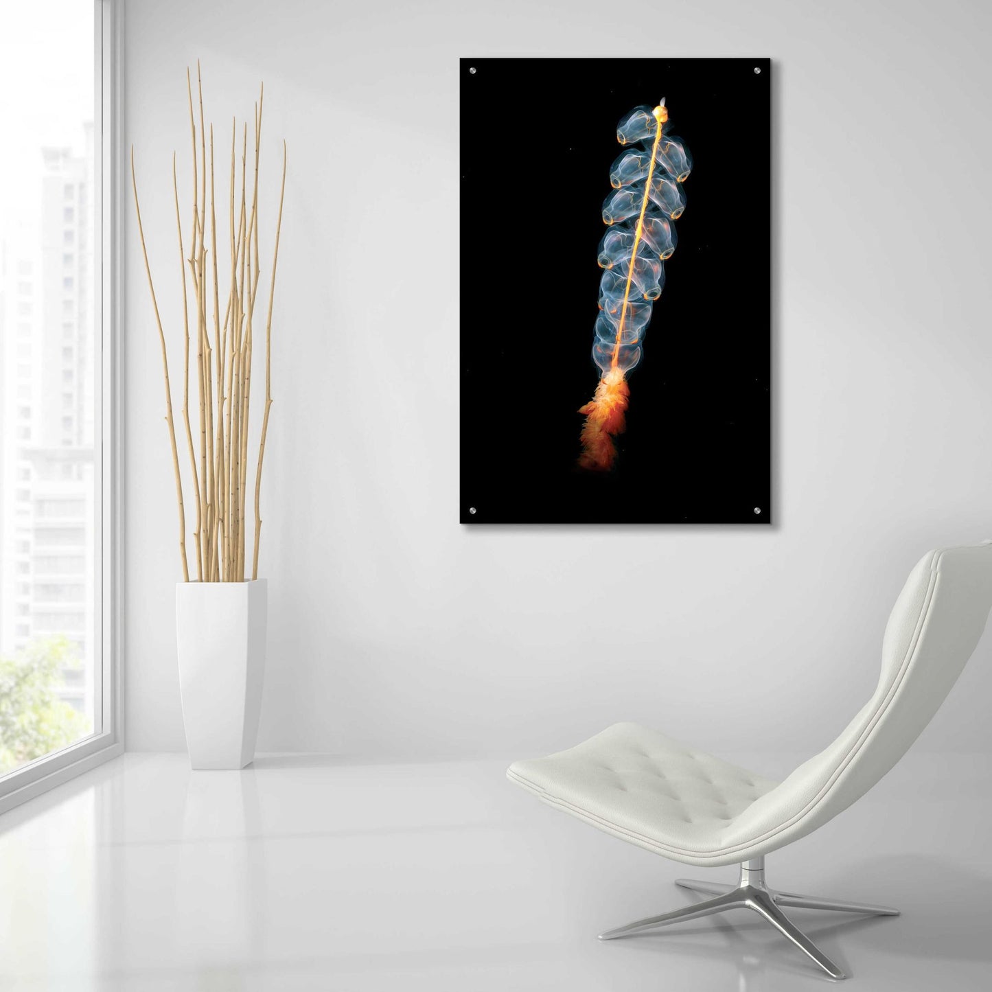 Epic Art 'Deep Sea Rocket' by Epic Portfolio, Acrylic Glass Wall Art,24x36