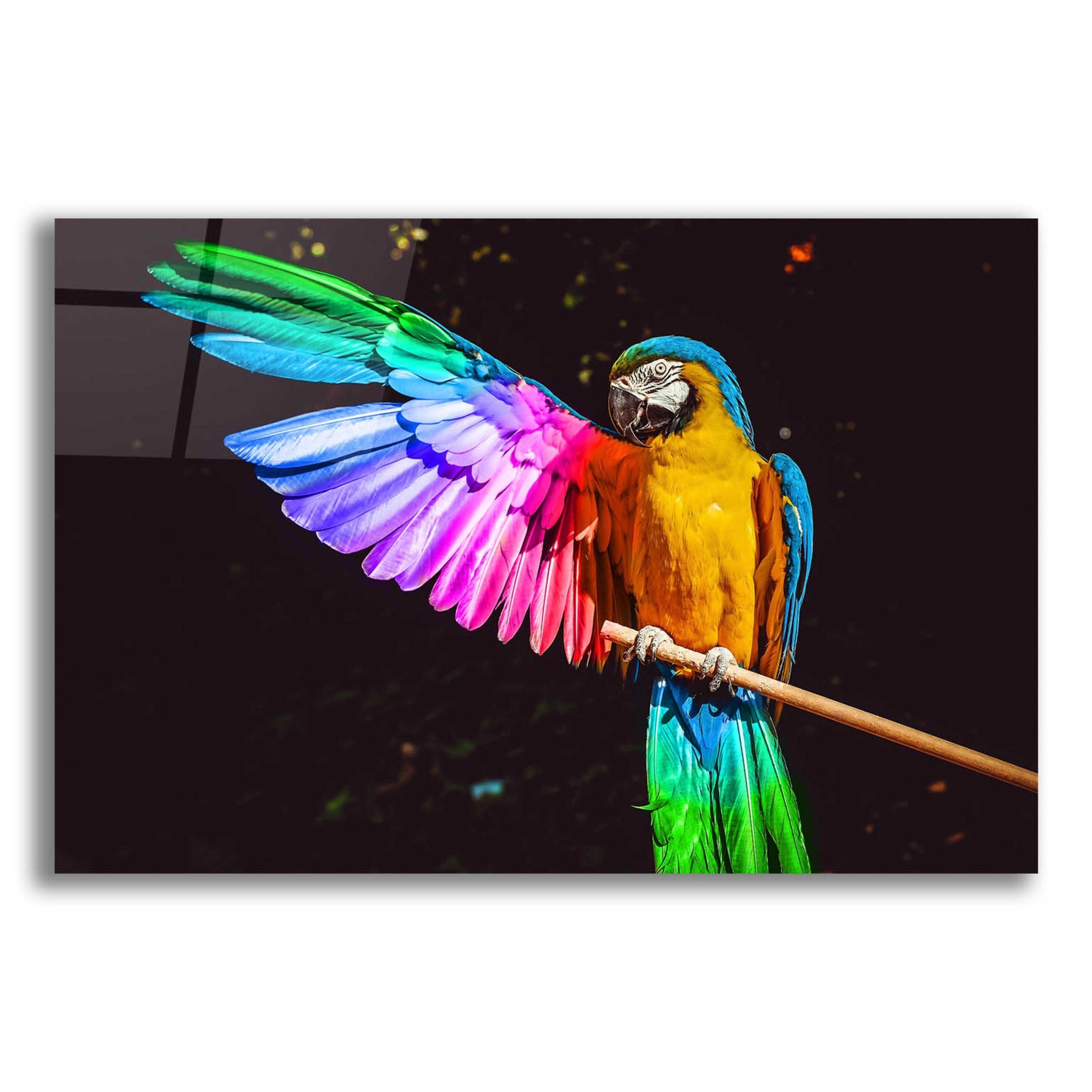 Epic Art 'Hitchhiker' by Epic Portfolio, Acrylic Glass Wall Art,24x16