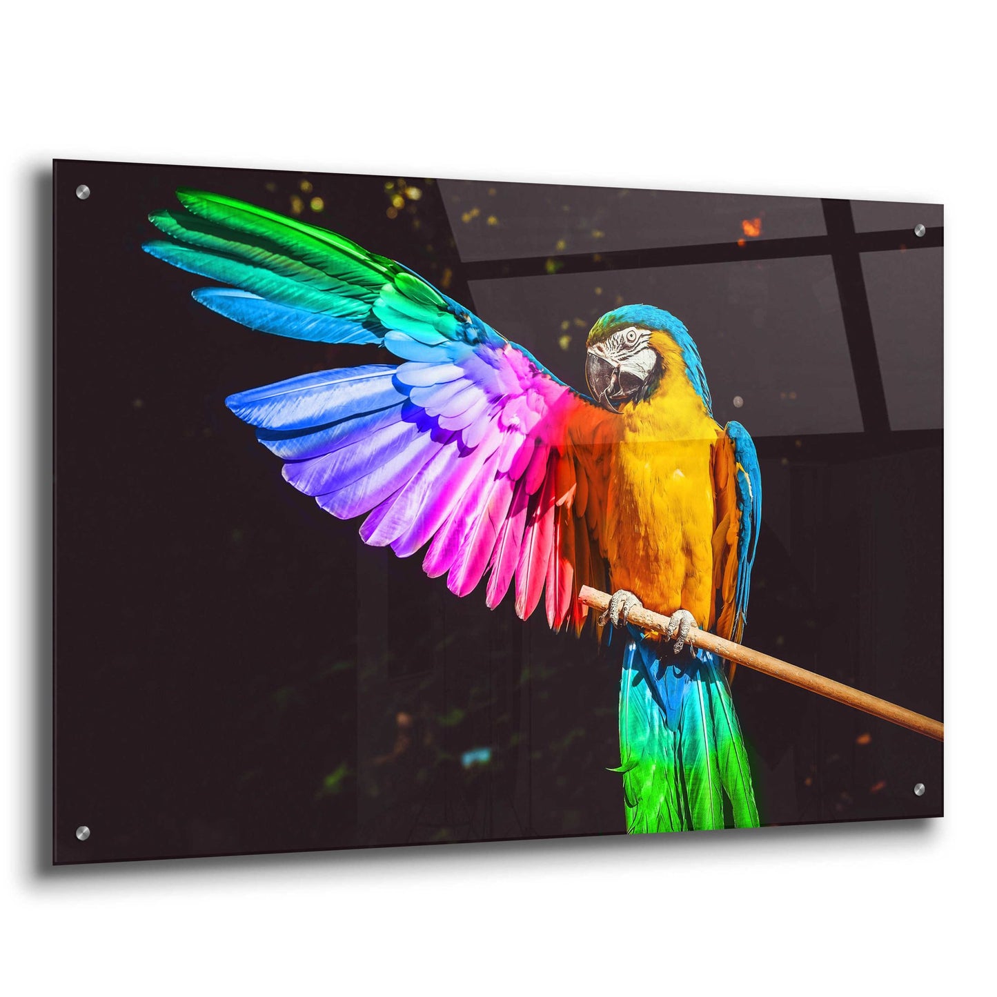 Epic Art 'Hitchhiker' by Epic Portfolio, Acrylic Glass Wall Art,36x24