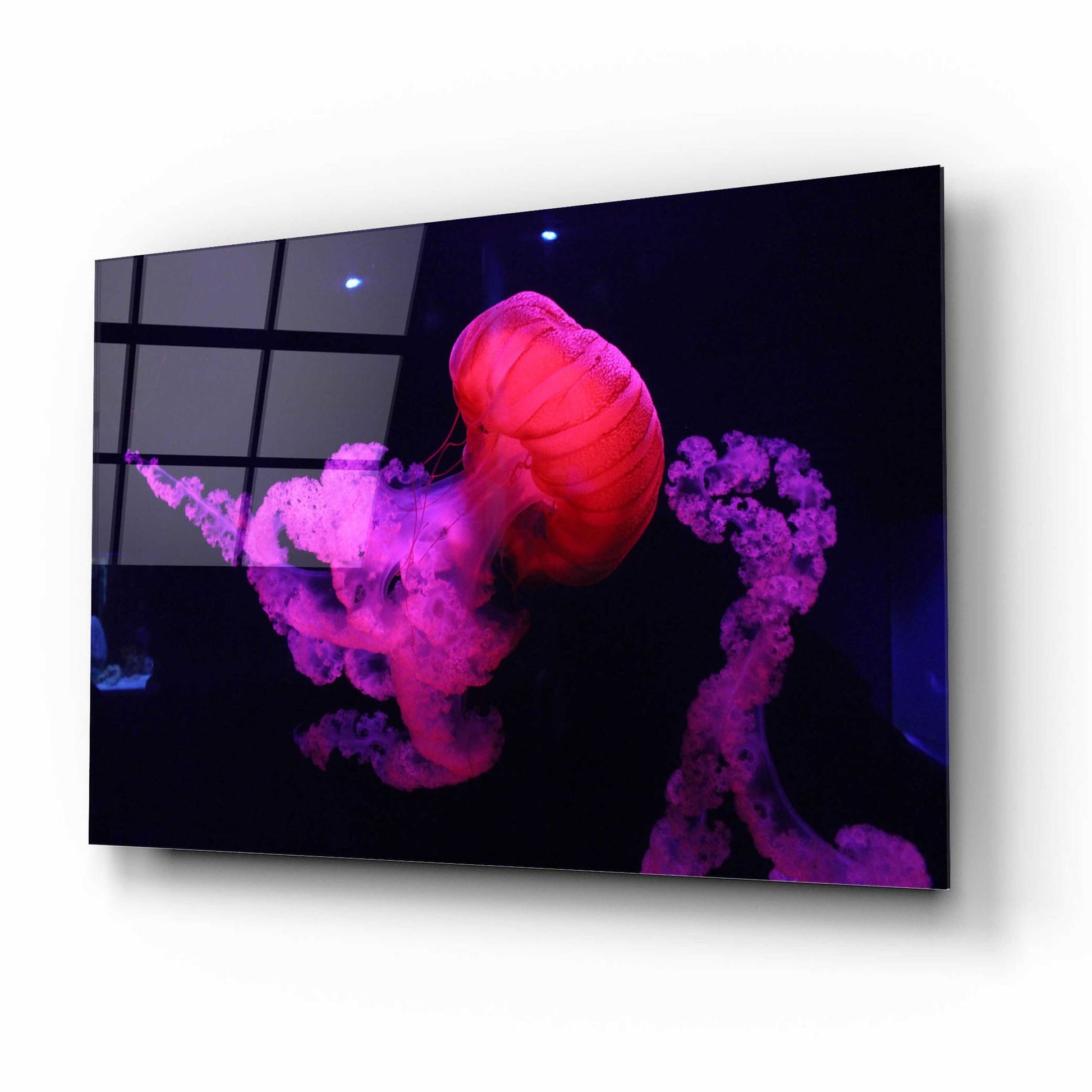 Epic Art 'Mushroom Cloud' by Epic Portfolio, Acrylic Glass Wall Art,16x12