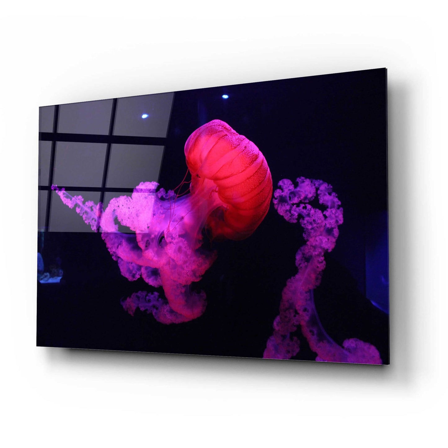 Epic Art 'Mushroom Cloud' by Epic Portfolio, Acrylic Glass Wall Art,24x16