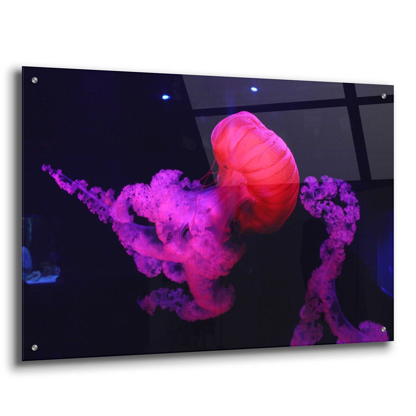 Epic Art 'Mushroom Cloud' by Epic Portfolio, Acrylic Glass Wall Art,36x24