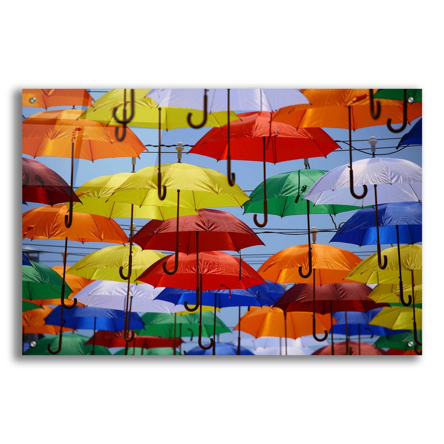 Epic Art 'Raining Umbrellas' by Epic Portfolio, Acrylic Glass Wall Art,36x24