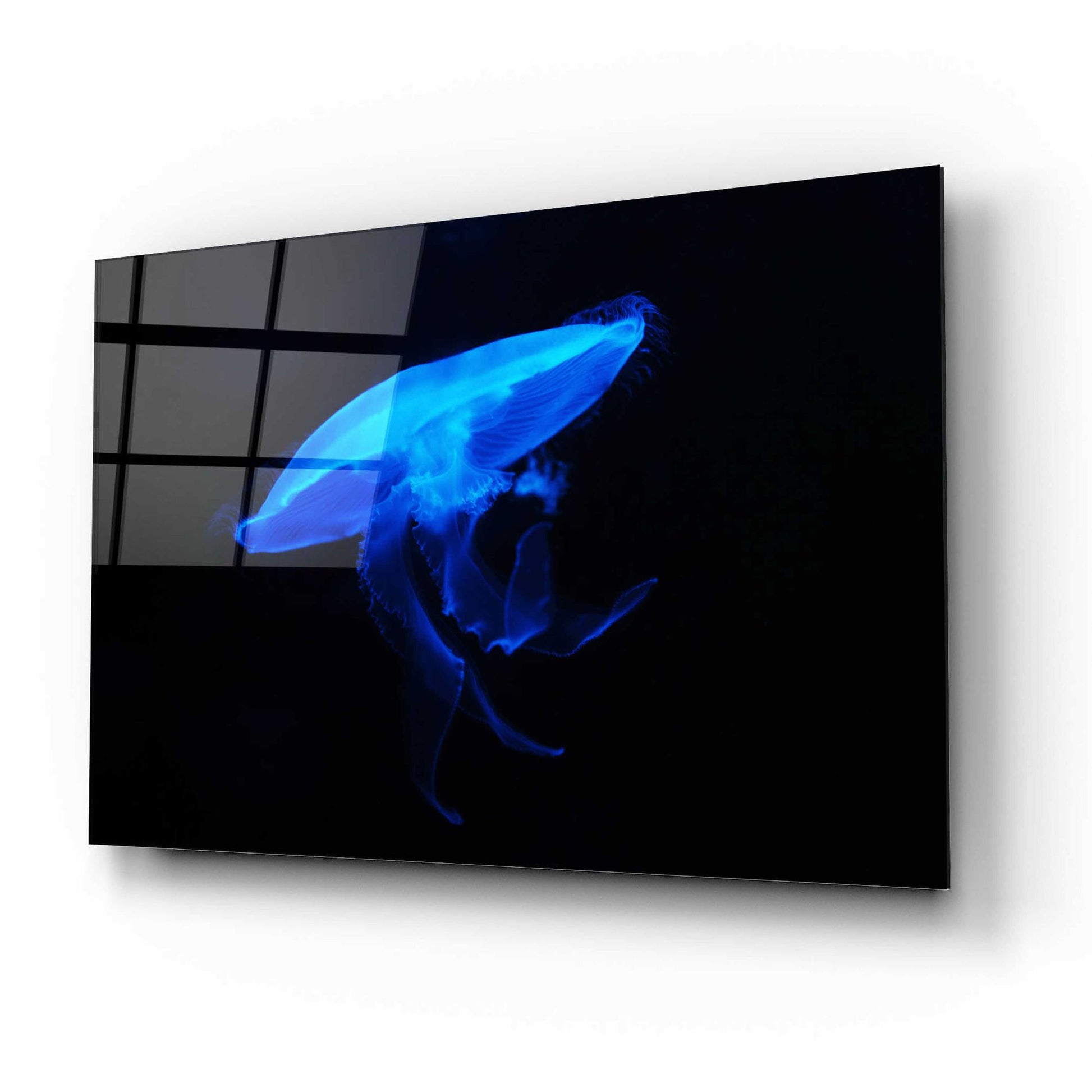 Epic Art 'Swan Lake' by Epic Portfolio, Acrylic Glass Wall Art,16x12