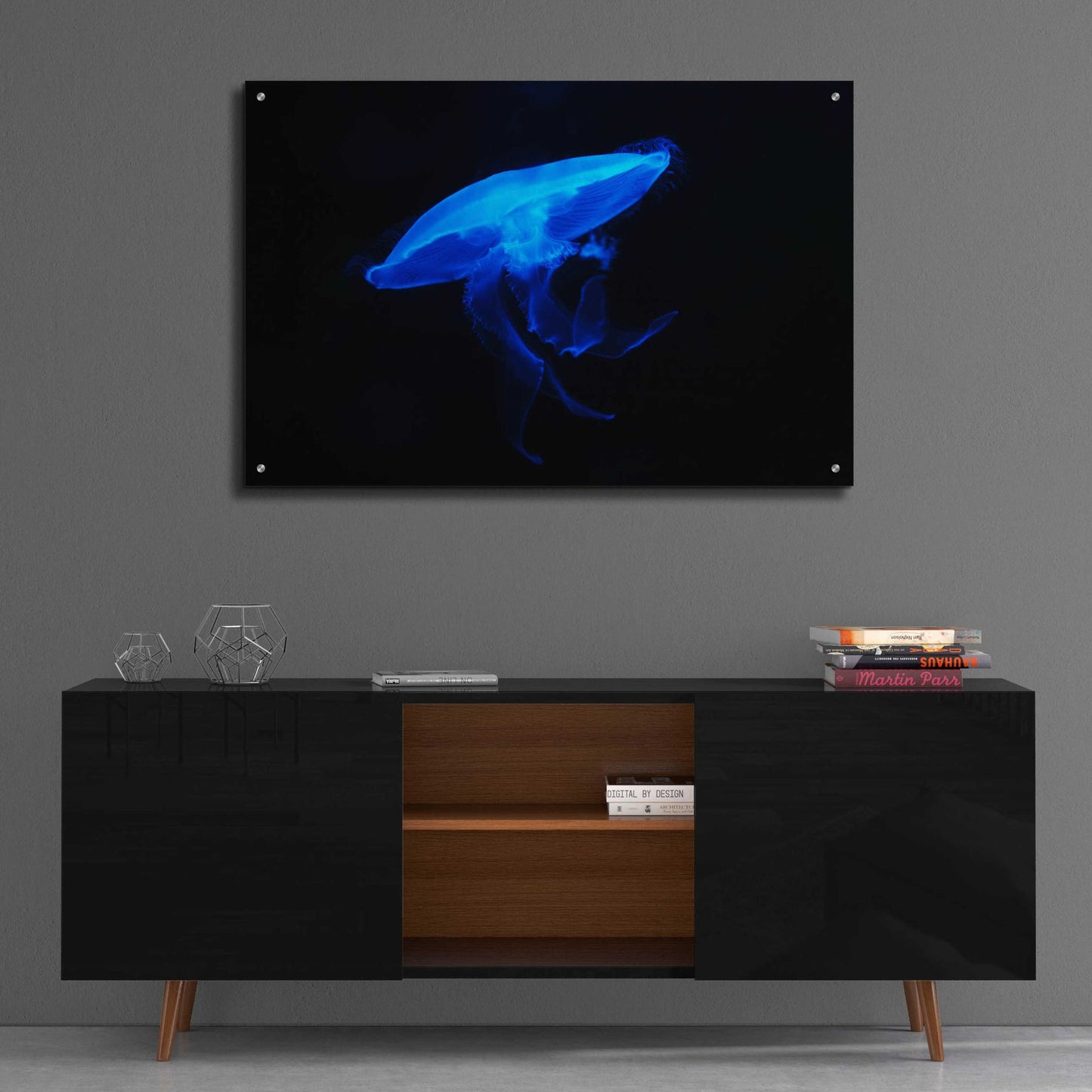 Epic Art 'Swan Lake' by Epic Portfolio, Acrylic Glass Wall Art,36x24