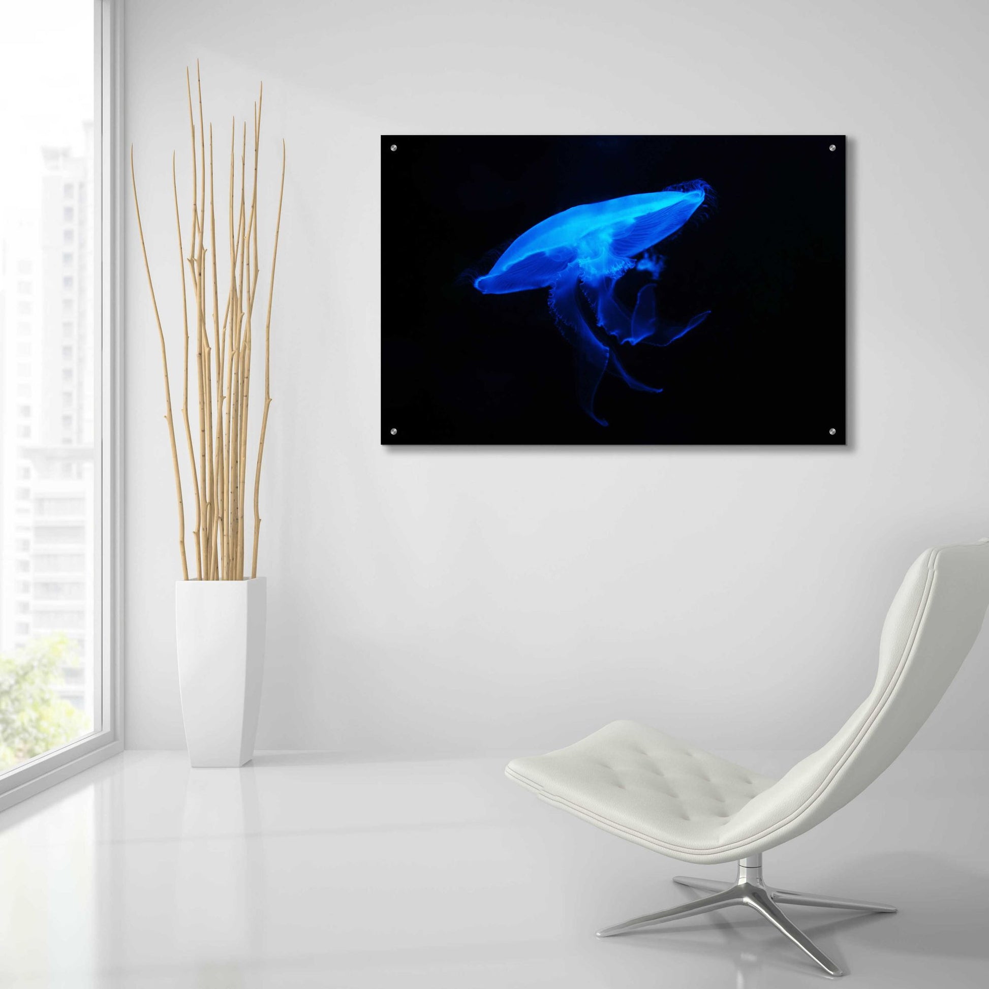 Epic Art 'Swan Lake' by Epic Portfolio, Acrylic Glass Wall Art,36x24