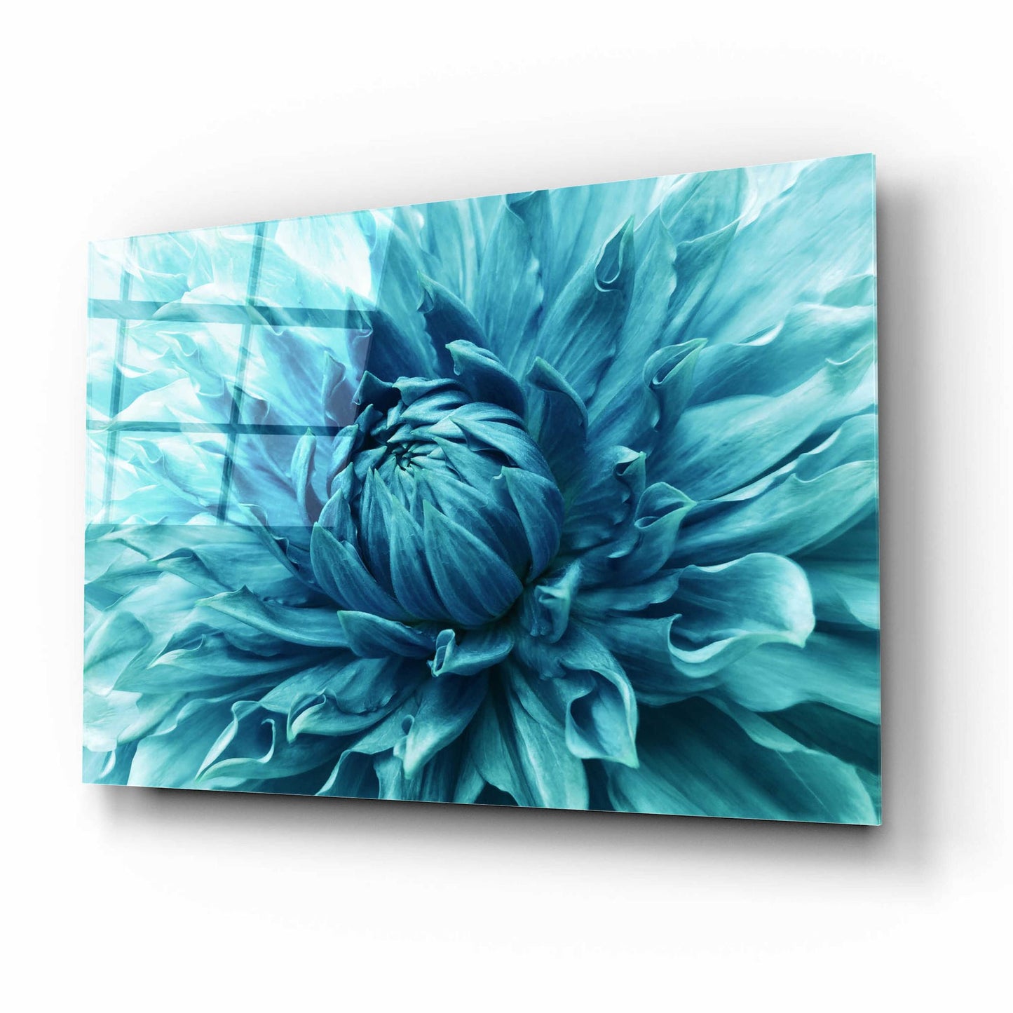 Epic Art 'Turquoise Dahlia' by Epic Portfolio, Acrylic Glass Wall Art,16x12