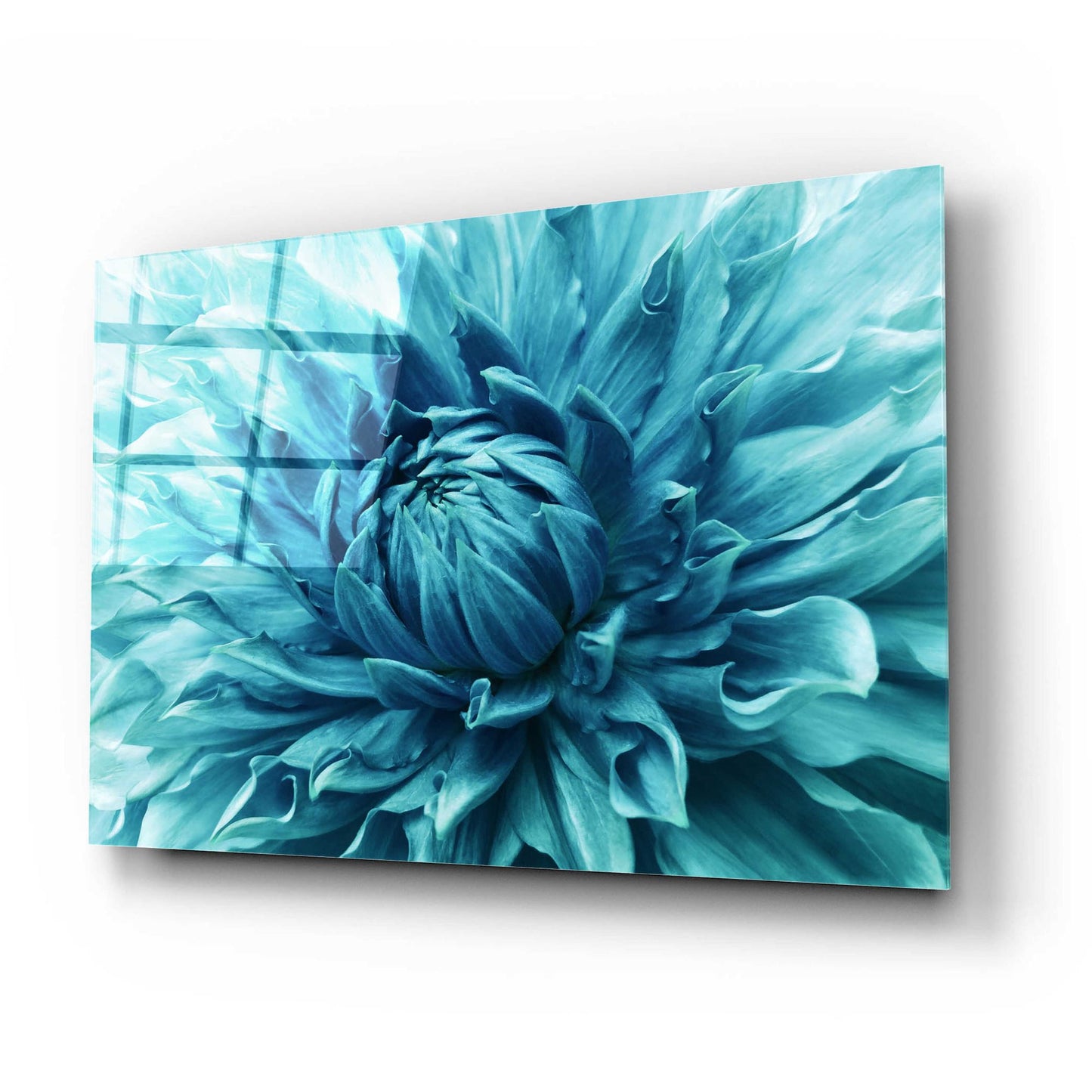 Epic Art 'Turquoise Dahlia' by Epic Portfolio, Acrylic Glass Wall Art,24x16