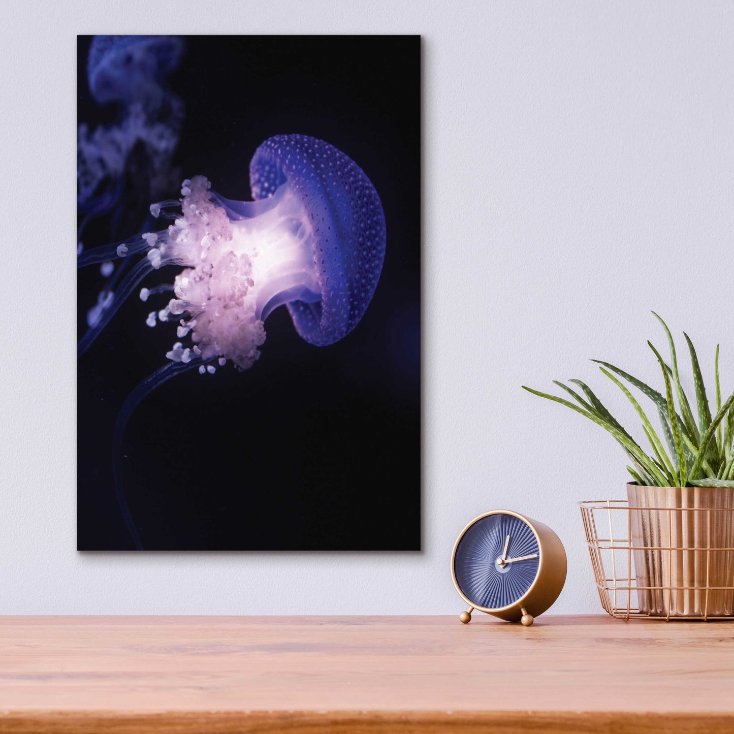 Epic Art 'Underwater Mushroom' by Epic Portfolio, Acrylic Glass Wall Art,12x16