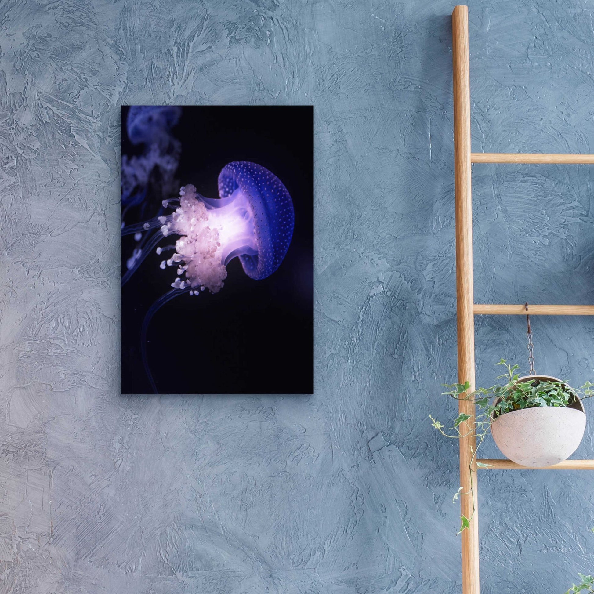 Epic Art 'Underwater Mushroom' by Epic Portfolio, Acrylic Glass Wall Art,16x24