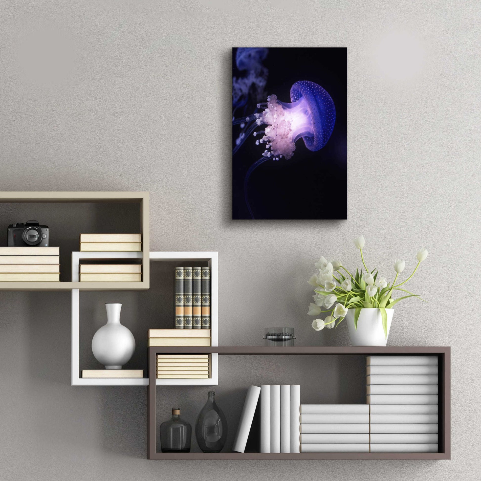 Epic Art 'Underwater Mushroom' by Epic Portfolio, Acrylic Glass Wall Art,16x24