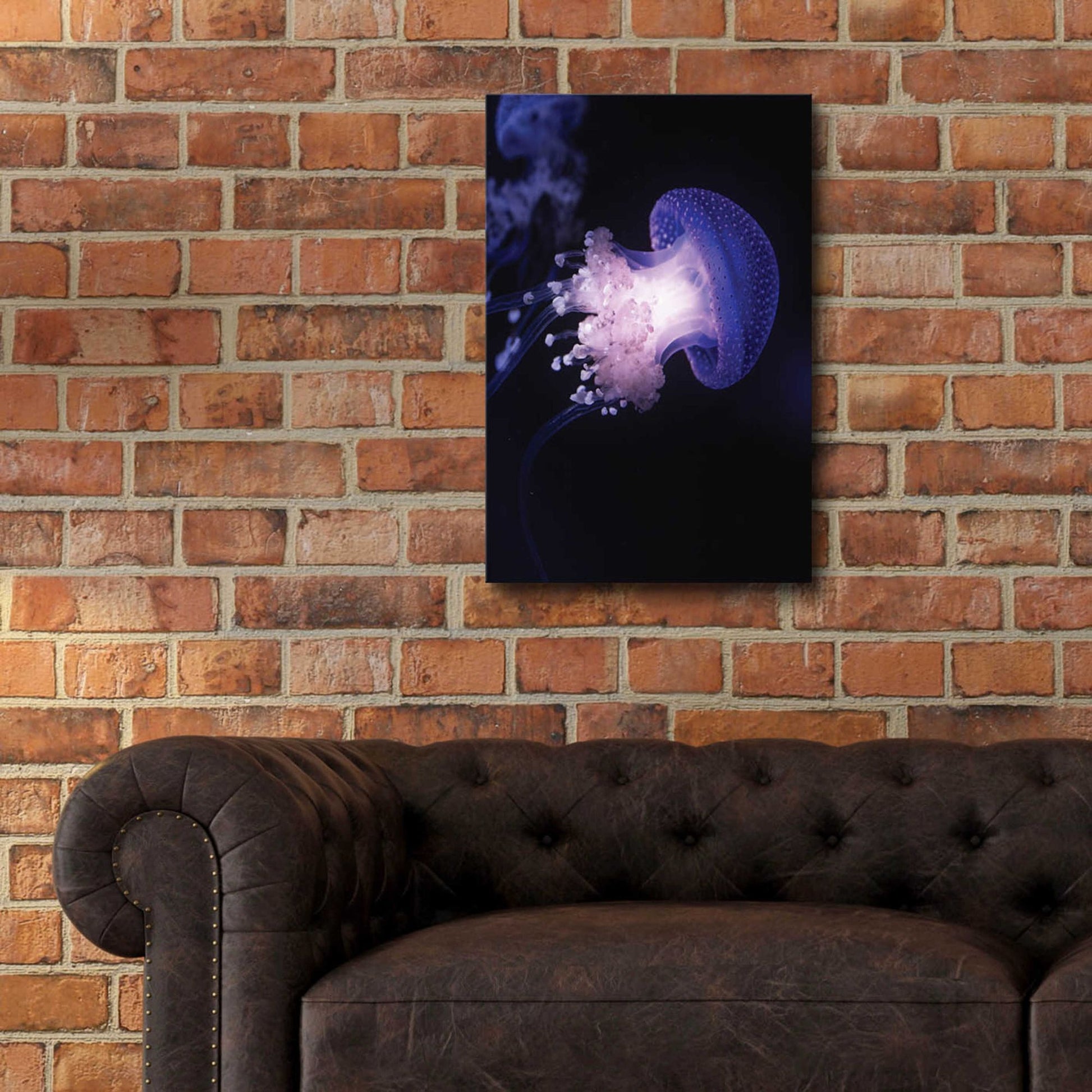 Epic Art 'Underwater Mushroom' by Epic Portfolio, Acrylic Glass Wall Art,16x24