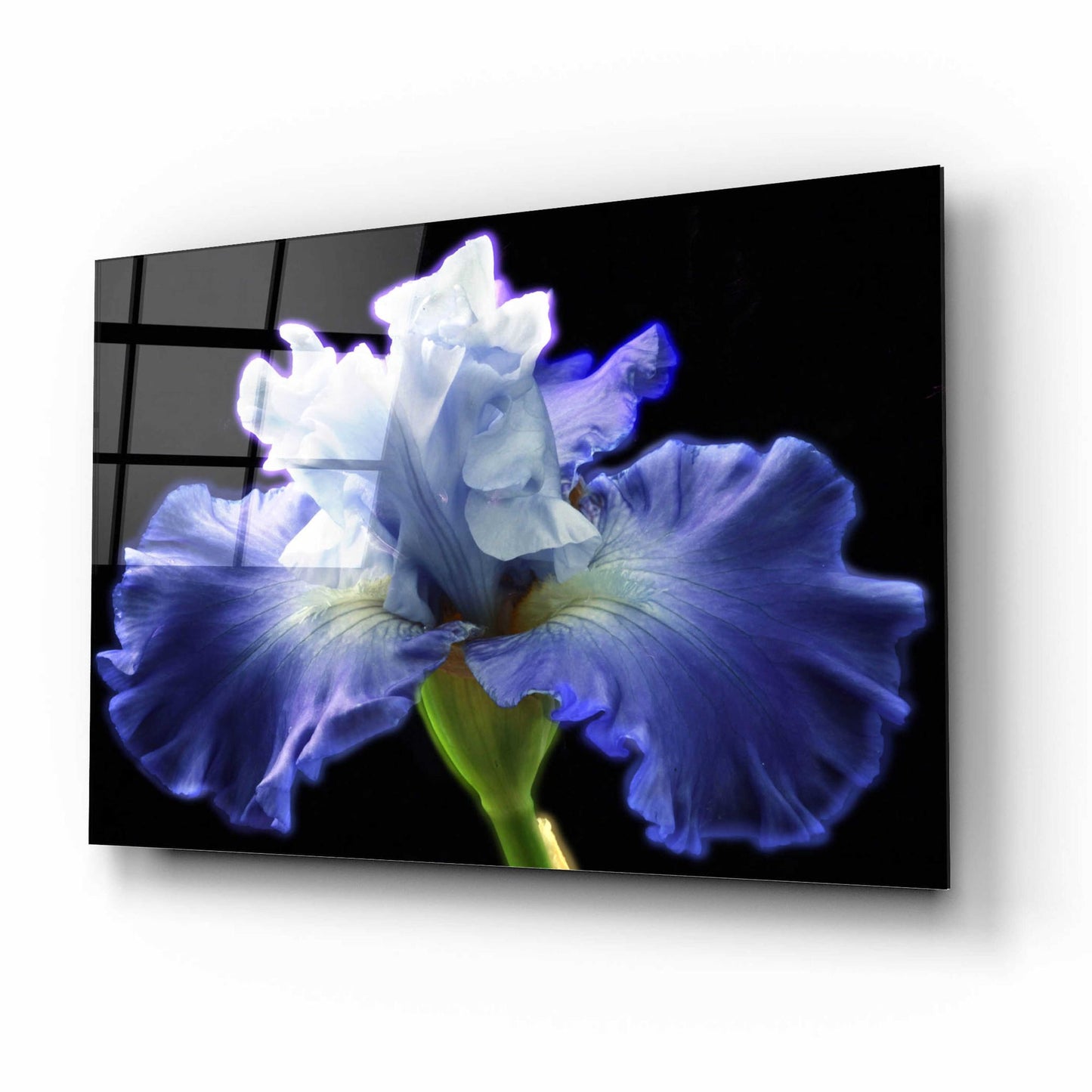 Epic Art 'Violet Blaze ' by Epic Portfolio, Acrylic Glass Wall Art,16x12