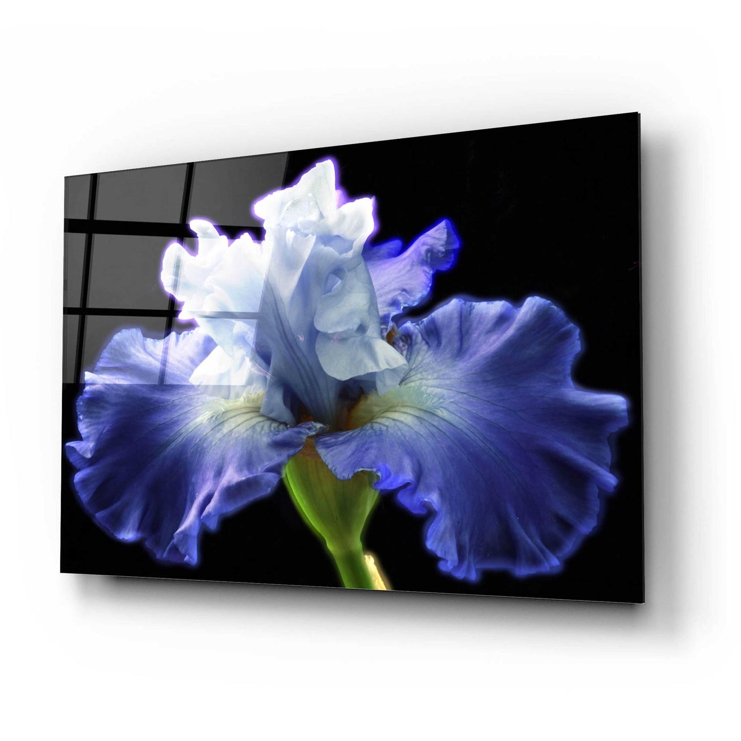 Epic Art 'Violet Blaze ' by Epic Portfolio, Acrylic Glass Wall Art,24x16