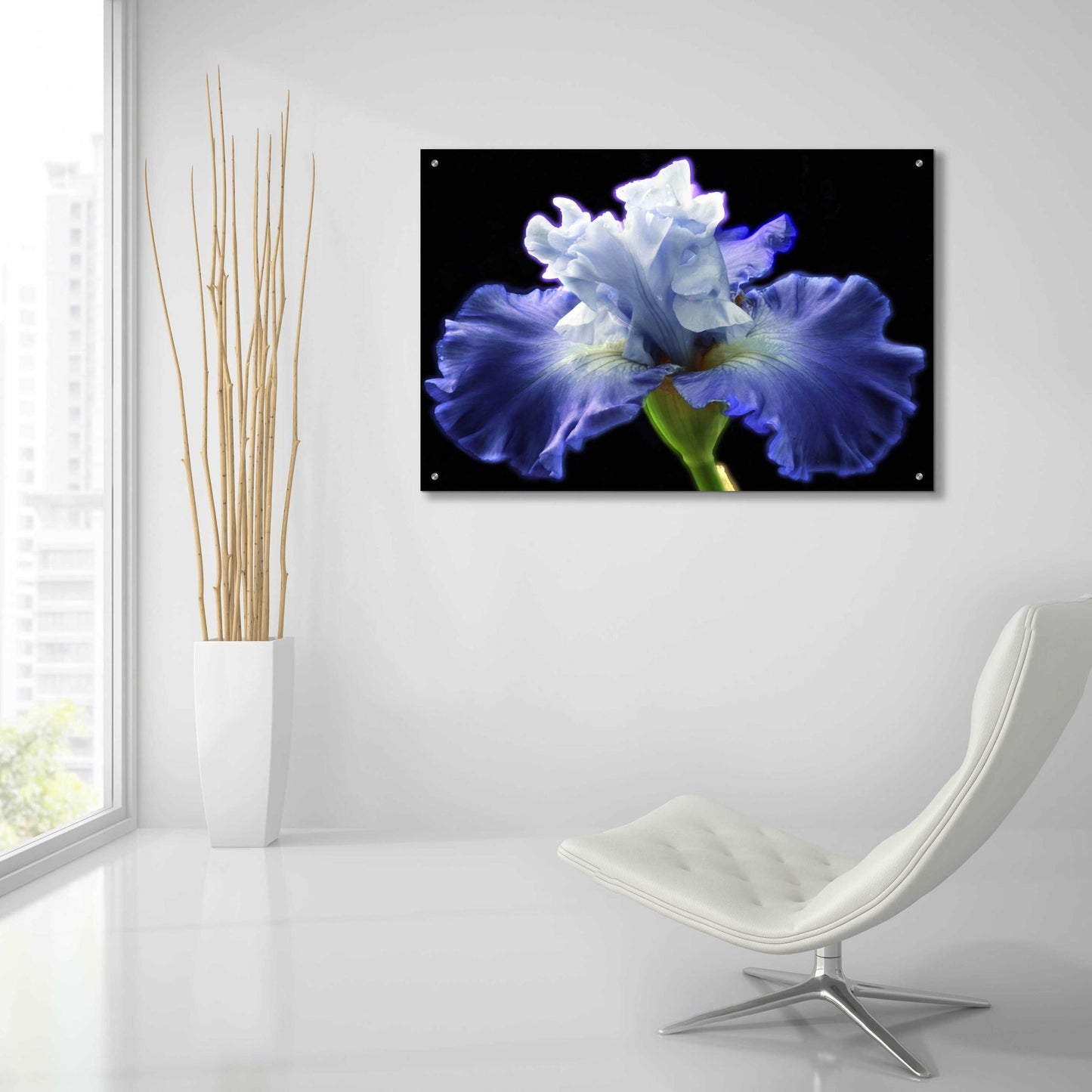 Epic Art 'Violet Blaze ' by Epic Portfolio, Acrylic Glass Wall Art,36x24