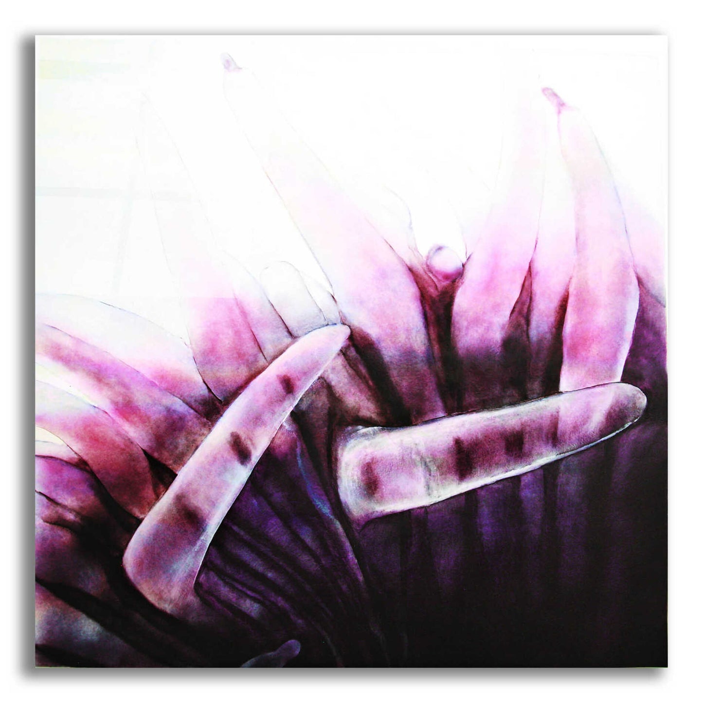 Epic Art 'Tentacles' by Rita Shimelfarb, Acrylic Glass Wall Art