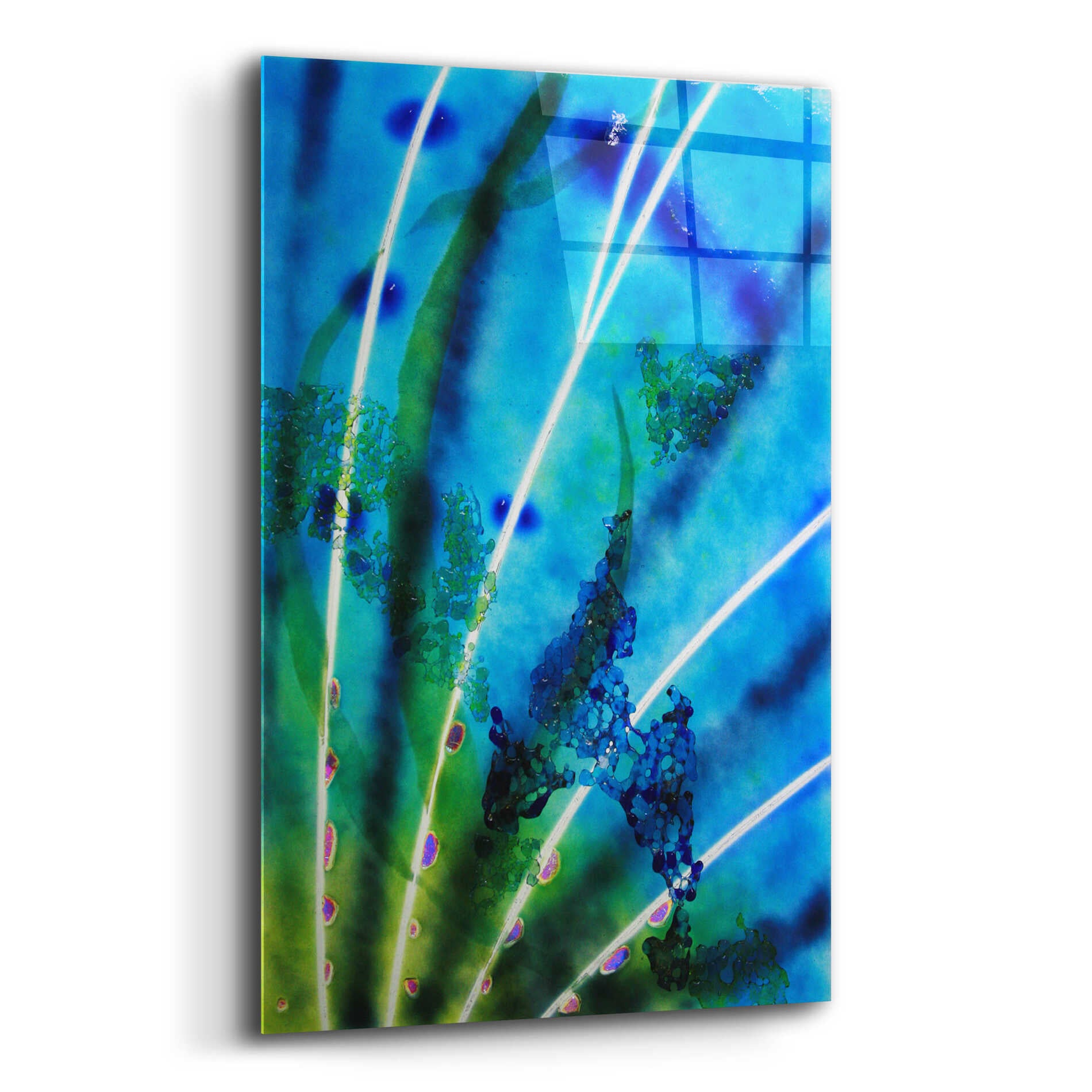 Epic Art 'Lion Fish Fin' by Rita Shimelfarb, Acrylic Glass Wall Art,12x16