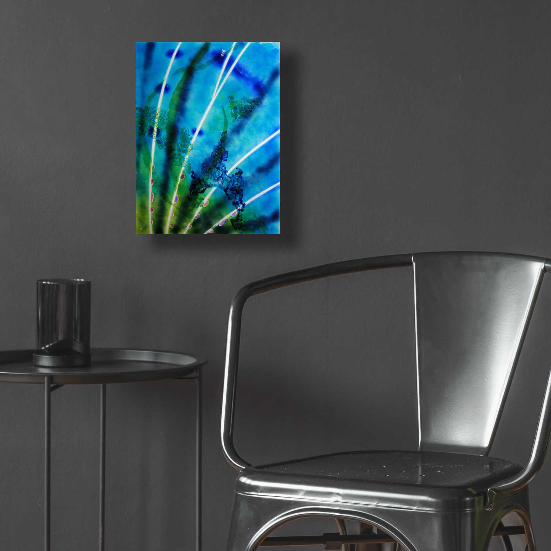 Epic Art 'Lion Fish Fin' by Rita Shimelfarb, Acrylic Glass Wall Art,12x16