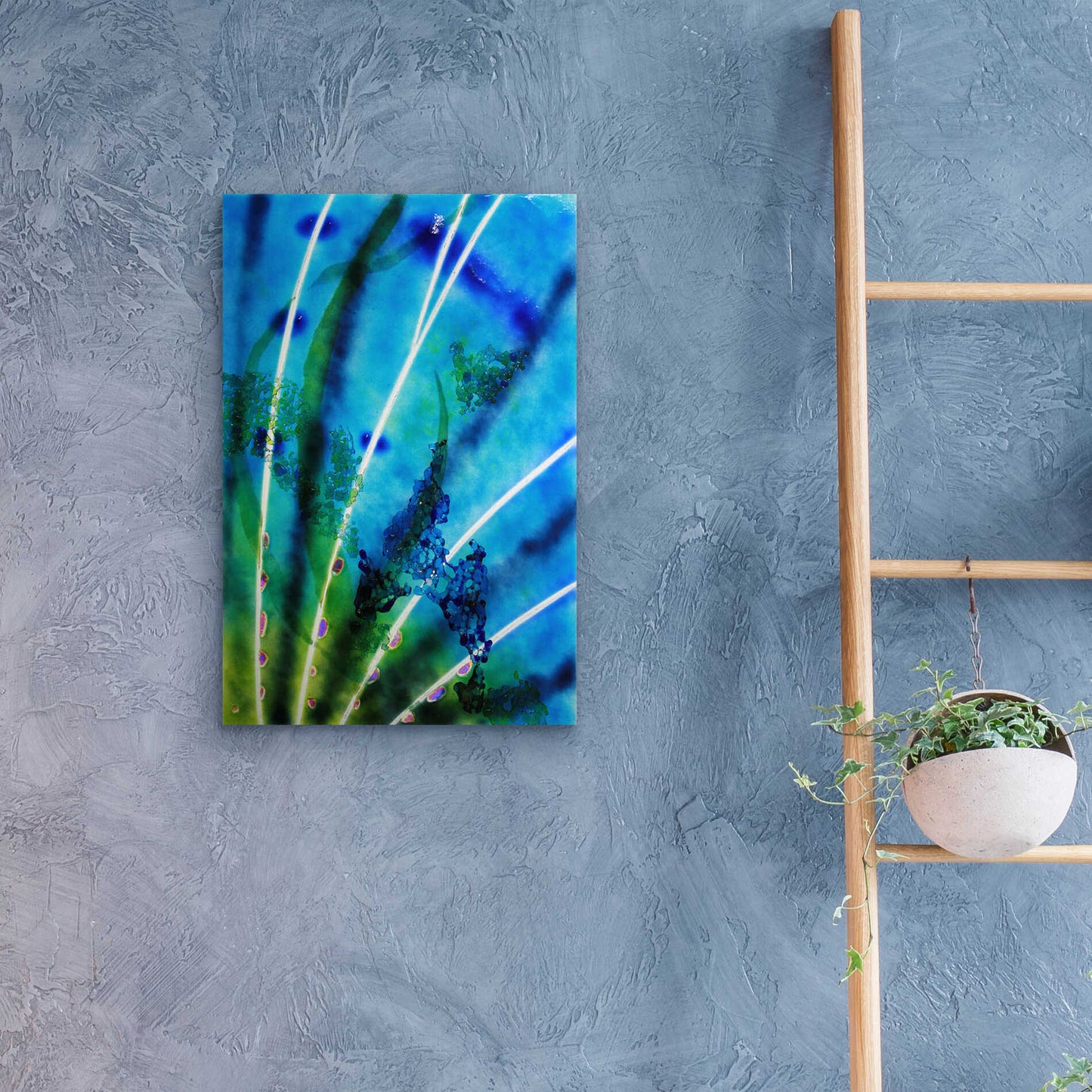 Epic Art 'Lion Fish Fin' by Rita Shimelfarb, Acrylic Glass Wall Art,16x24