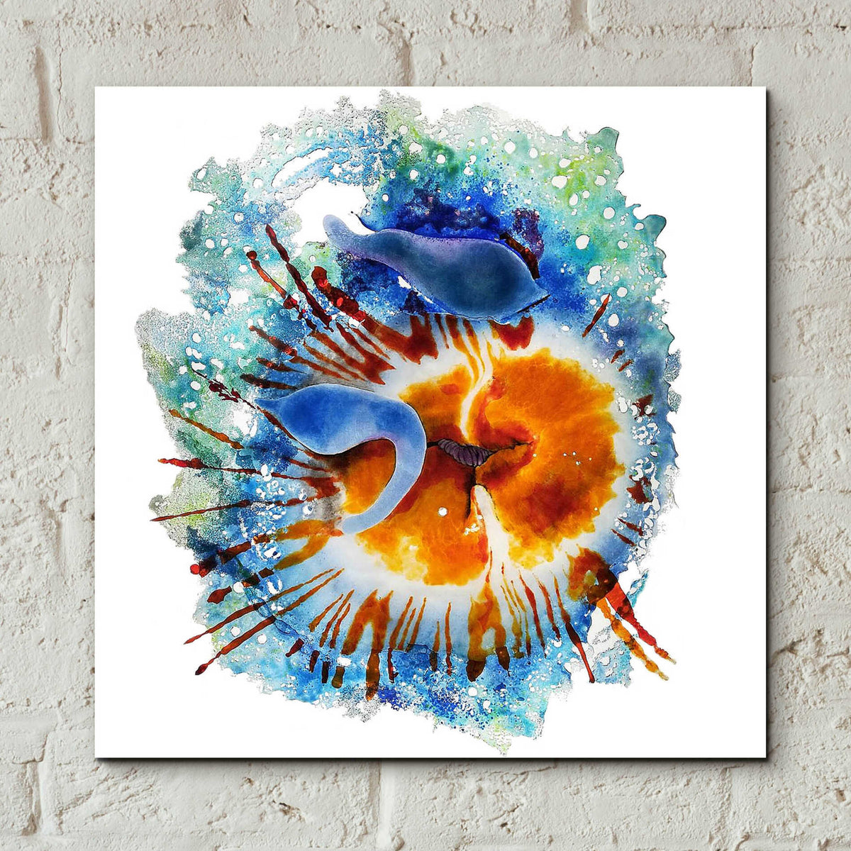 Epic Art 'Urticina Felinal' by Rita Shimelfarb, Acrylic Glass Wall Art,12x12