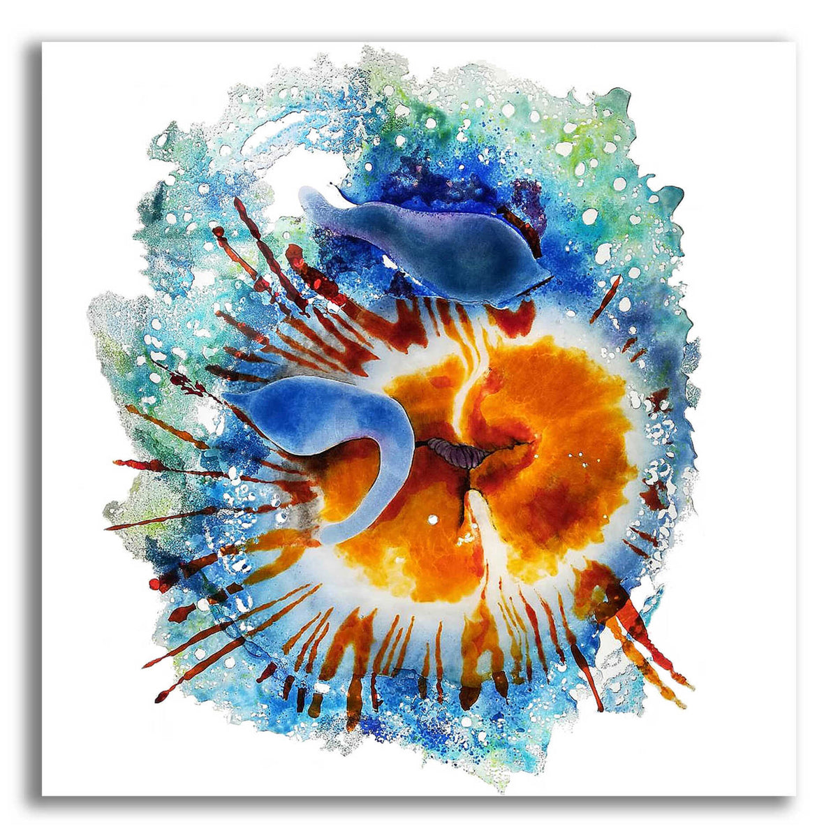 Epic Art 'Urticina Felinal' by Rita Shimelfarb, Acrylic Glass Wall Art