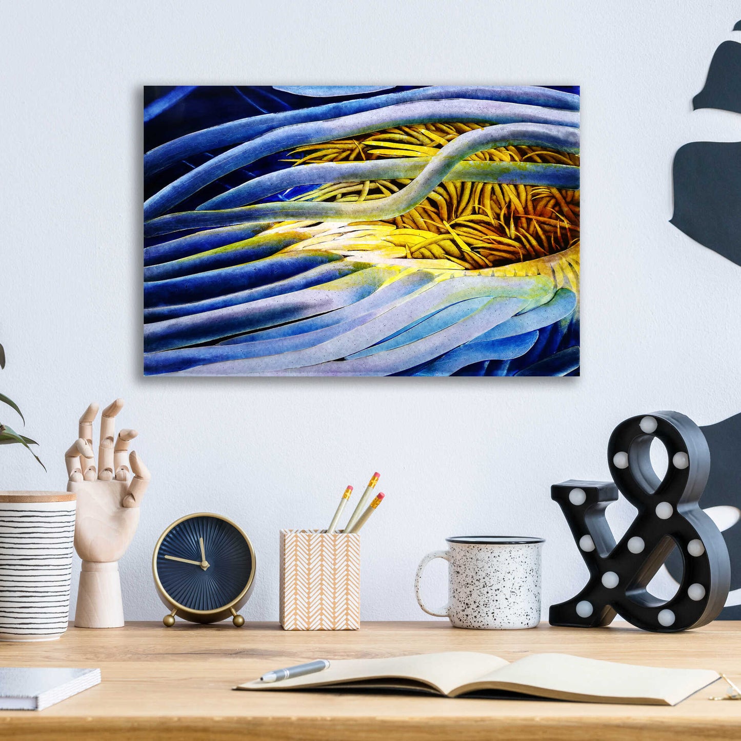 Epic Art 'Anemone Cerianthid' by Rita Shimelfarb, Acrylic Glass Wall Art,16x12