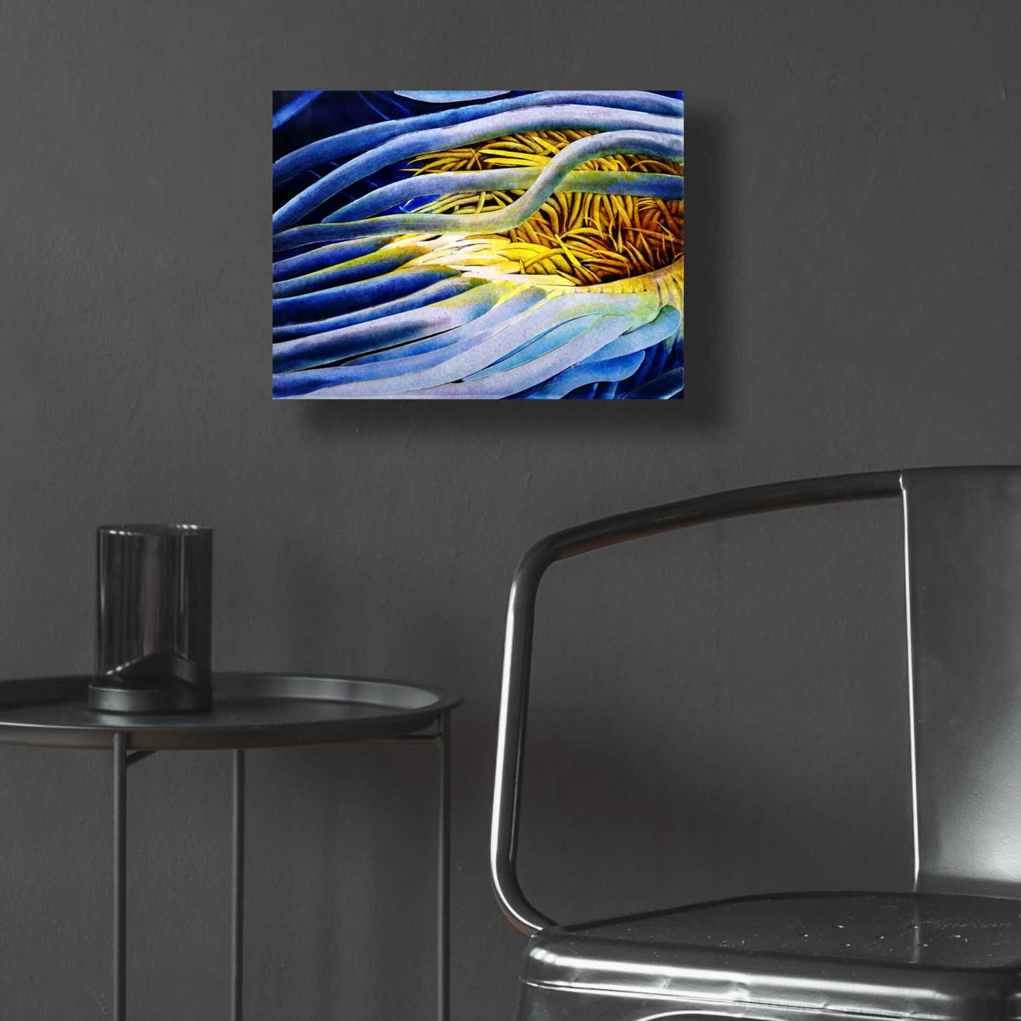 Epic Art 'Anemone Cerianthid' by Rita Shimelfarb, Acrylic Glass Wall Art,16x12