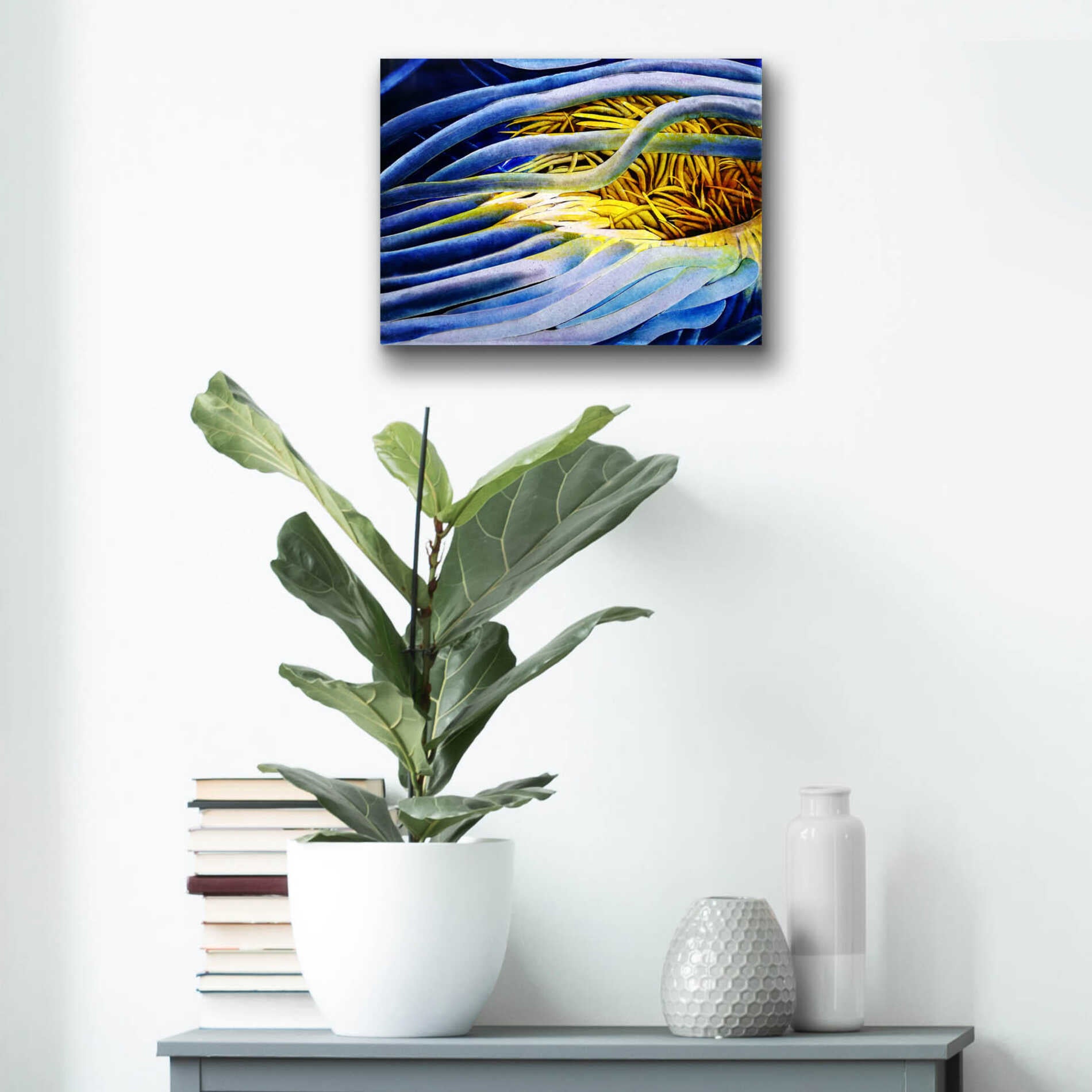 Epic Art 'Anemone Cerianthid' by Rita Shimelfarb, Acrylic Glass Wall Art,16x12